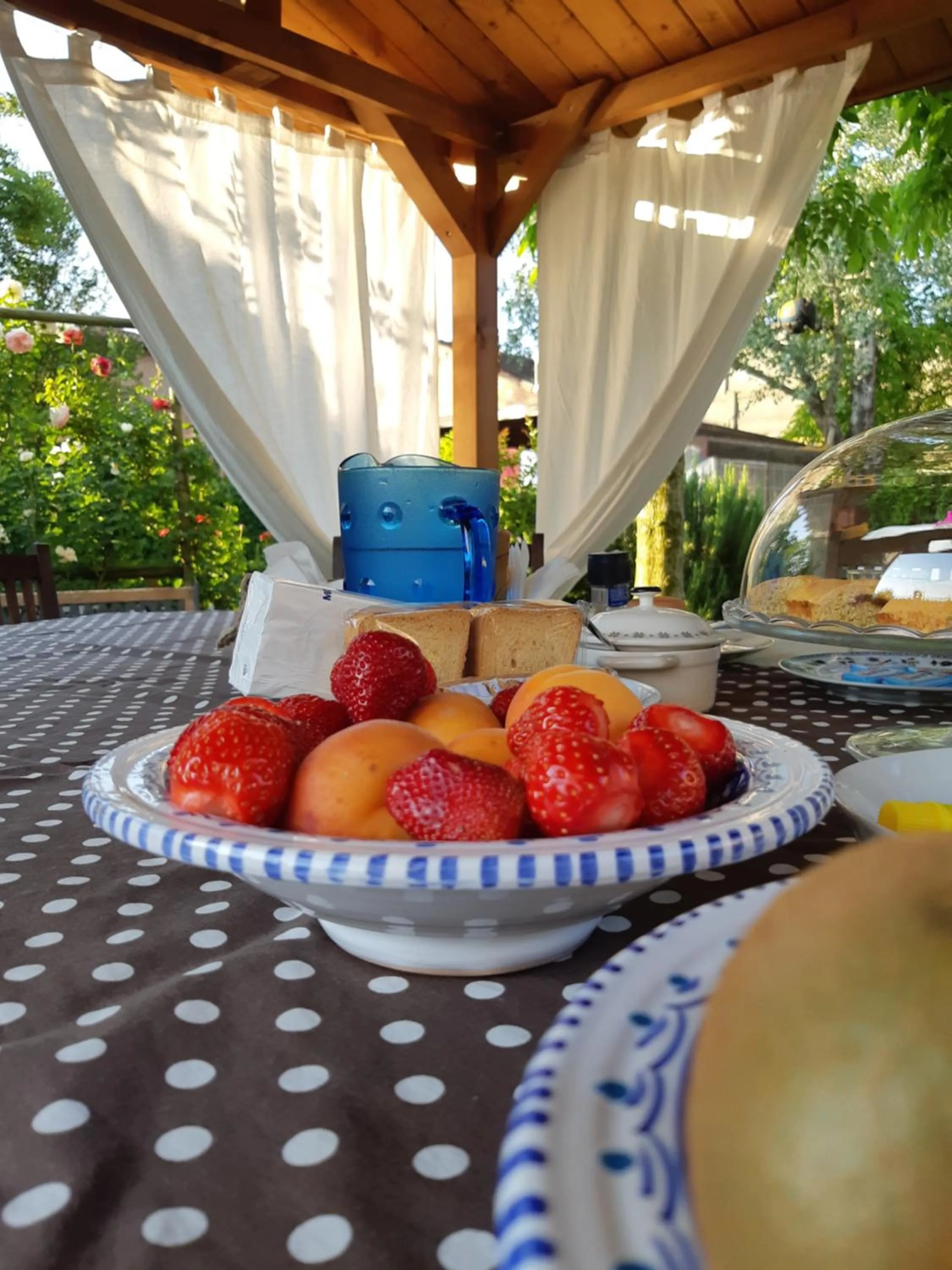 Day in La Casa di Biba