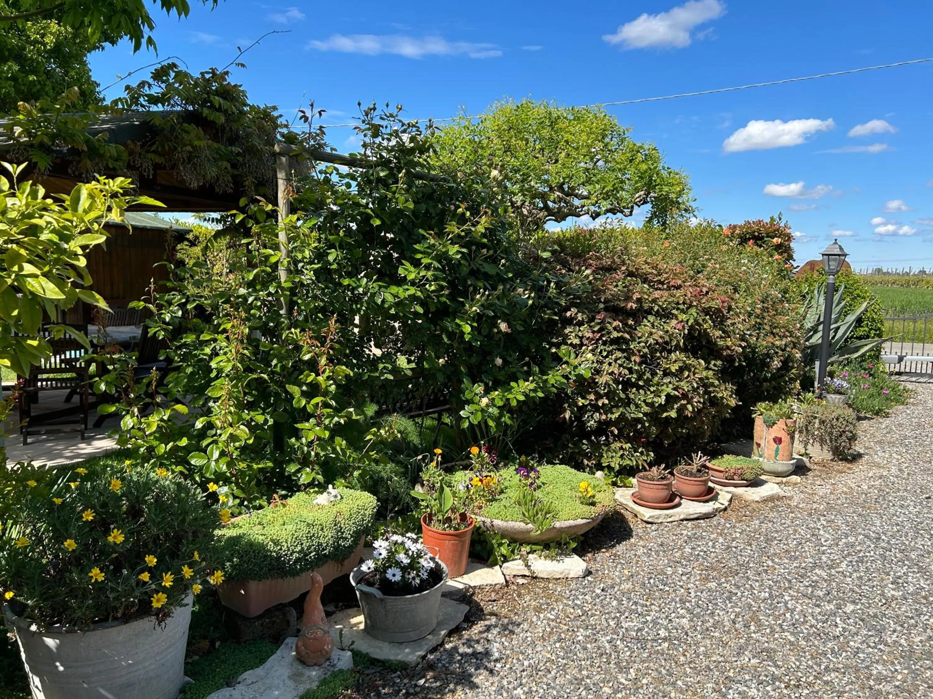 Garden in La Casa di Biba