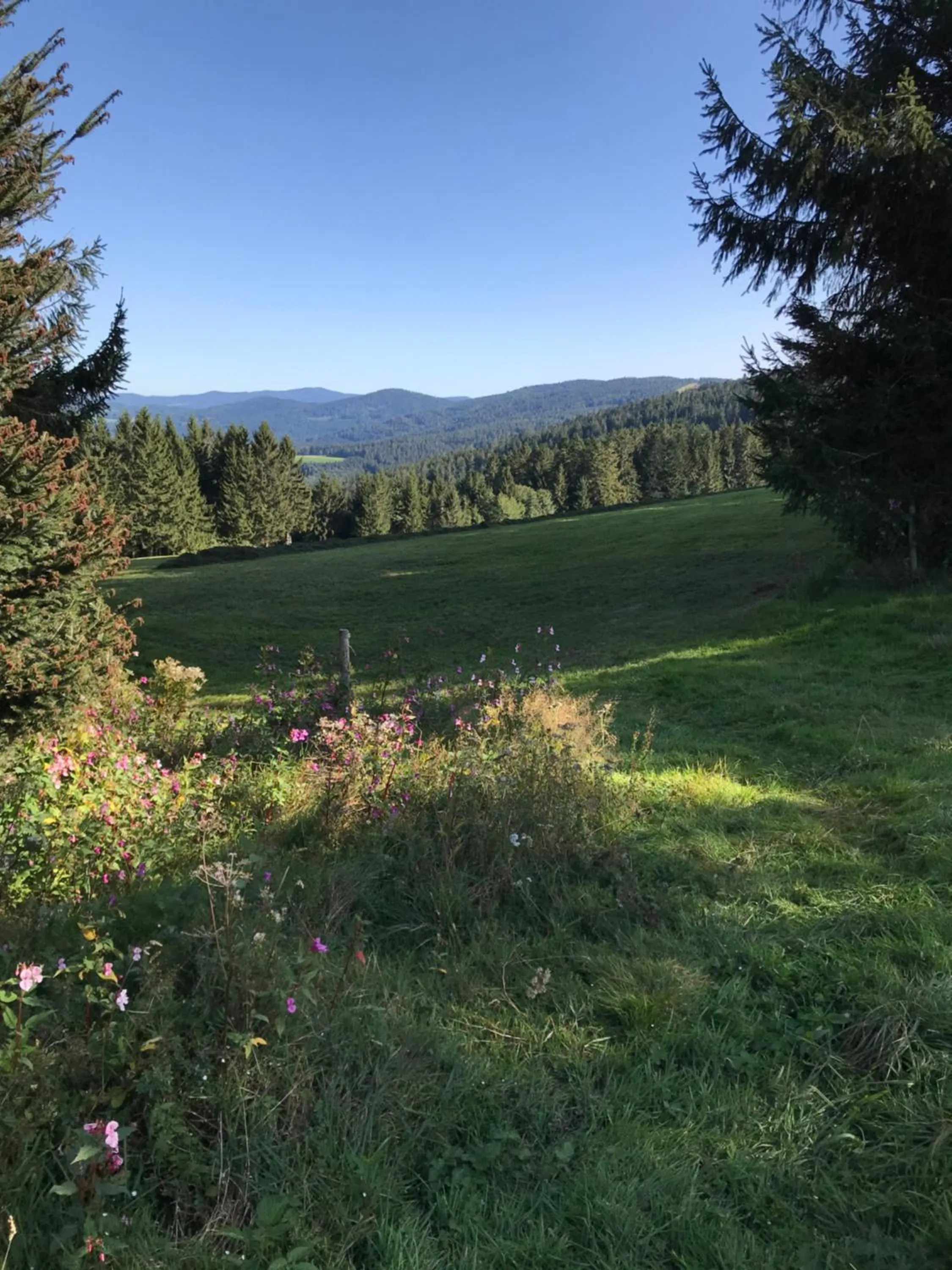 Hiking in Apartmentanlage am Kellerberg