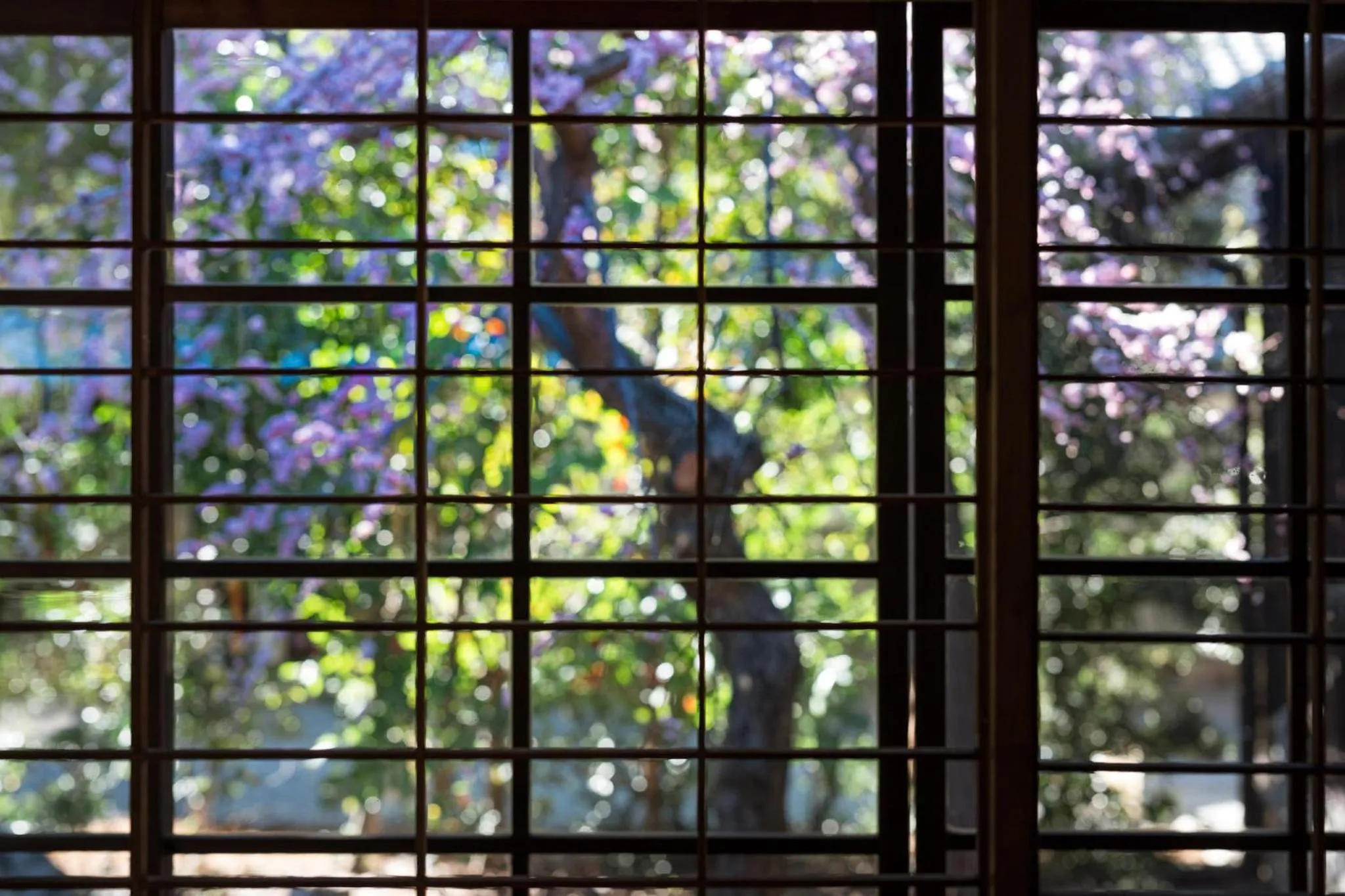 Restaurant/places to eat in LOQUAT西伊豆