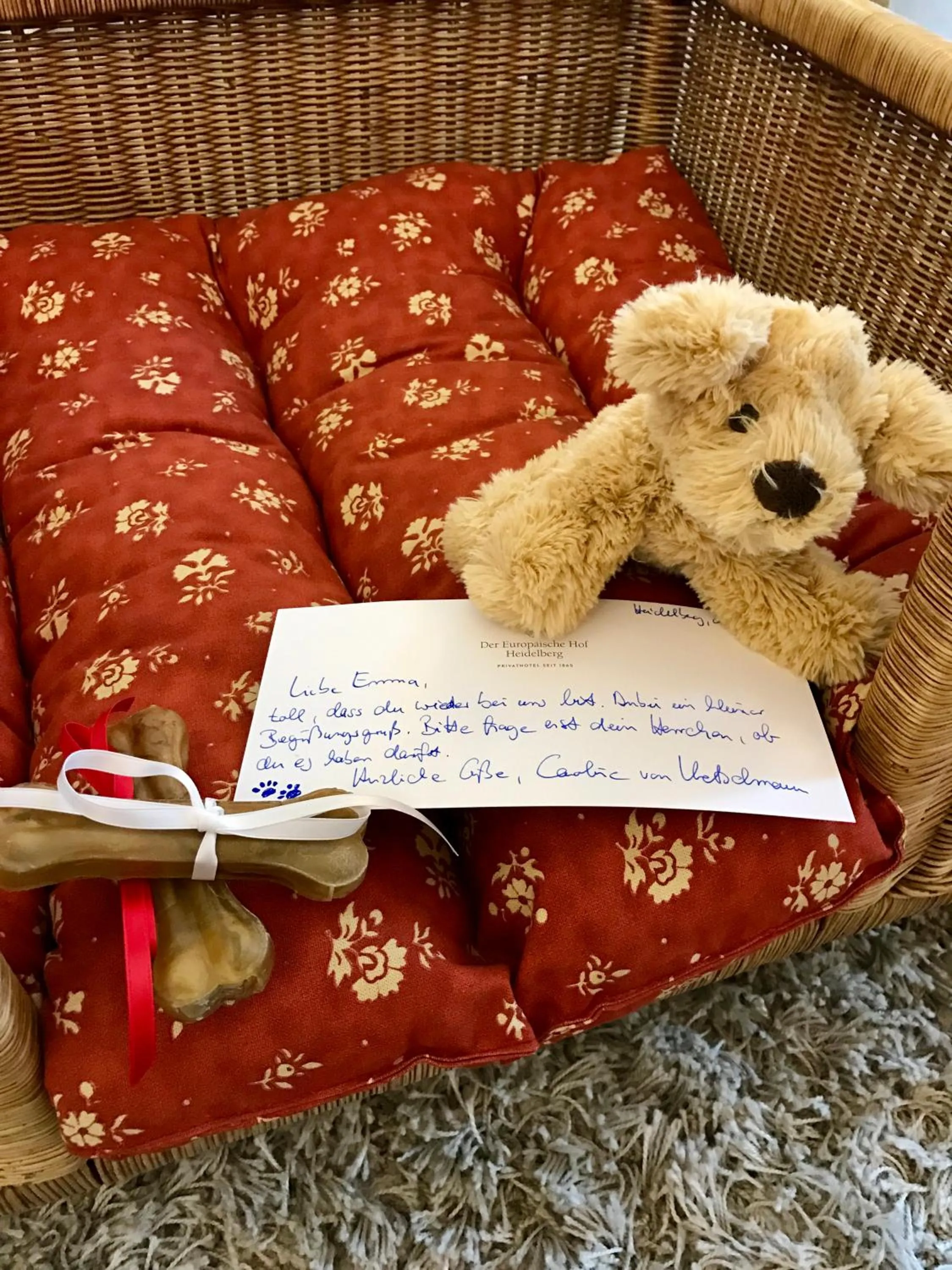 Pets in Hotel Europäischer Hof Heidelberg, Bestes Hotel Deutschlands in historischer Architektur