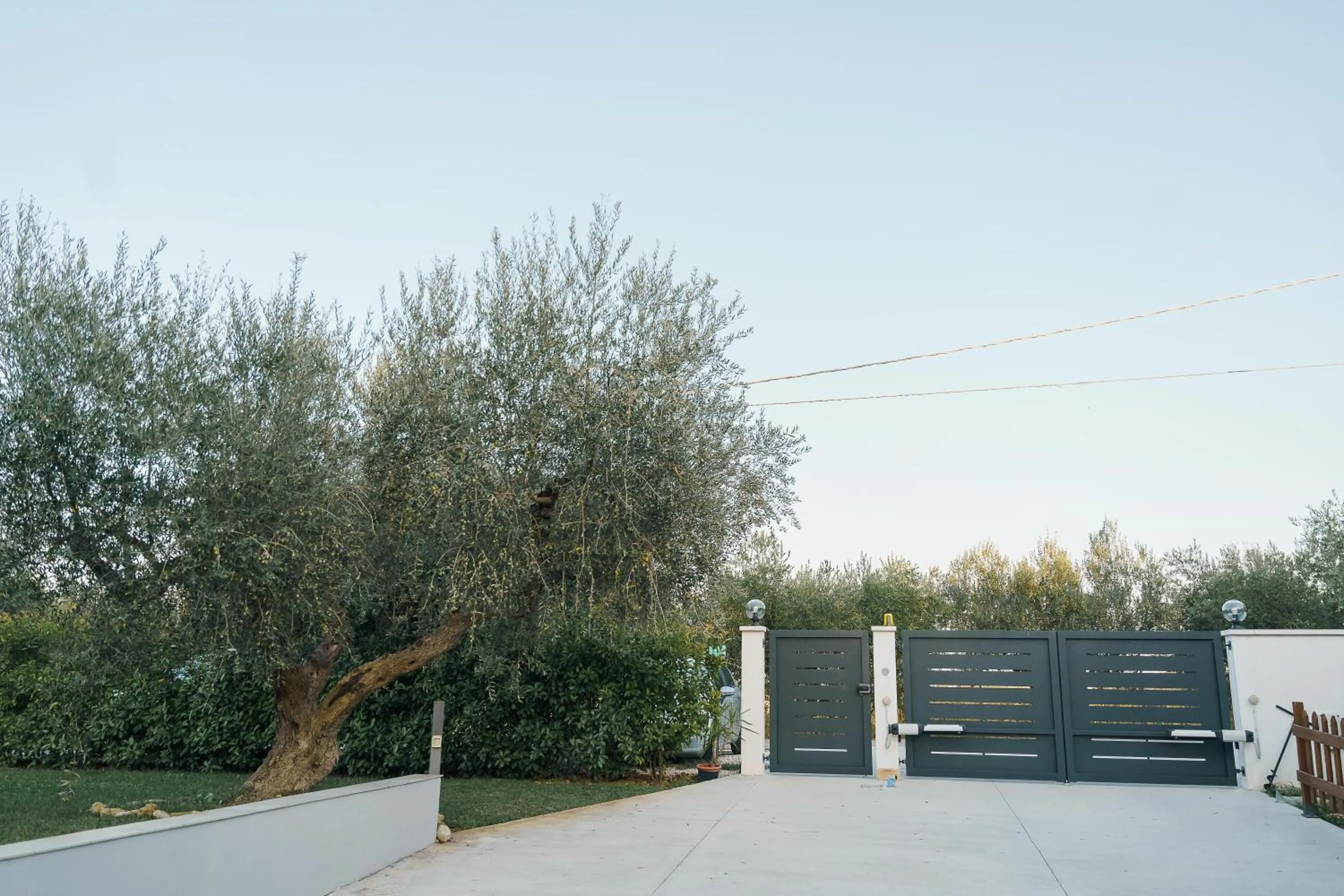 Garden view in Tana del Riccio