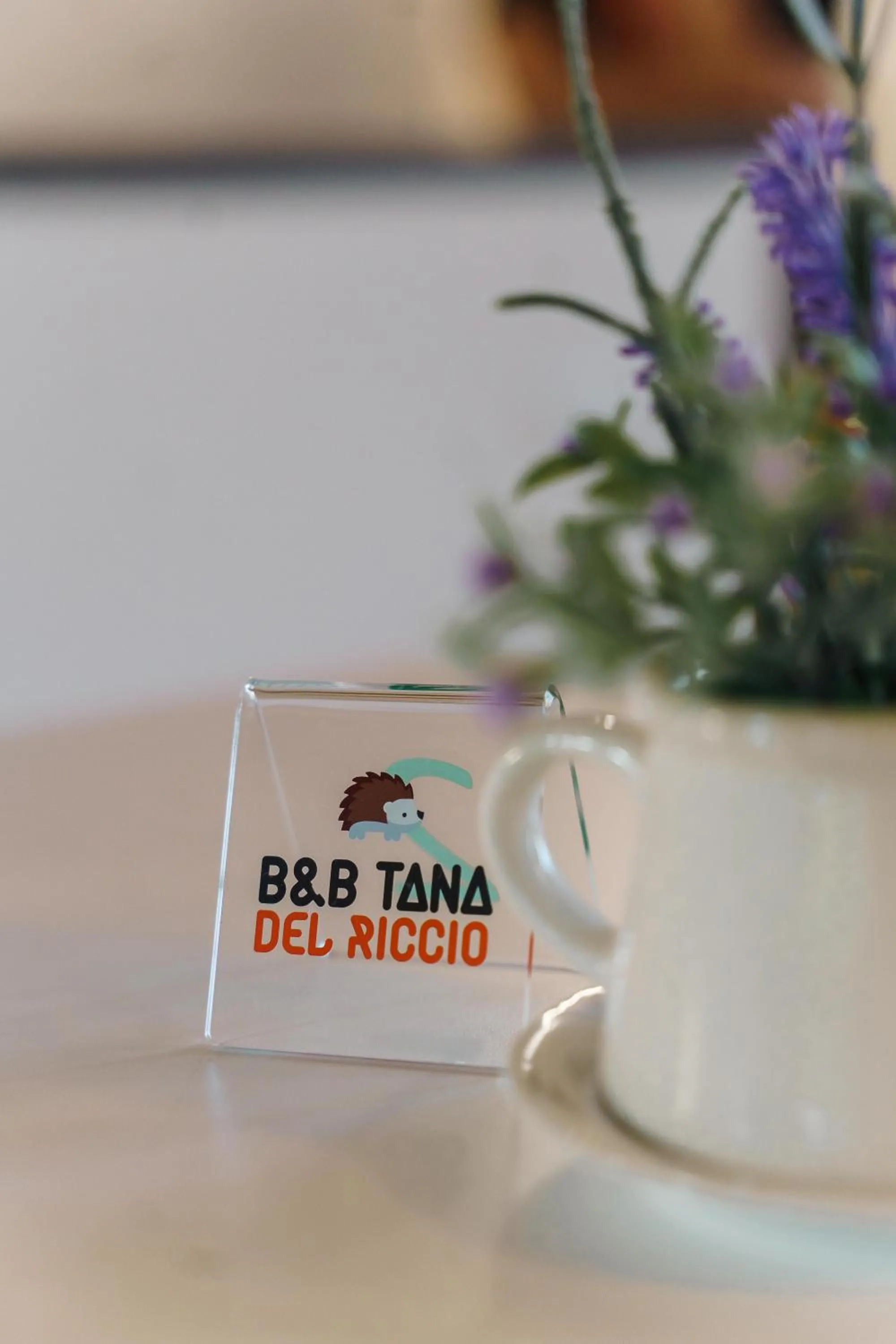 Logo/Certificate/Sign in Tana del Riccio