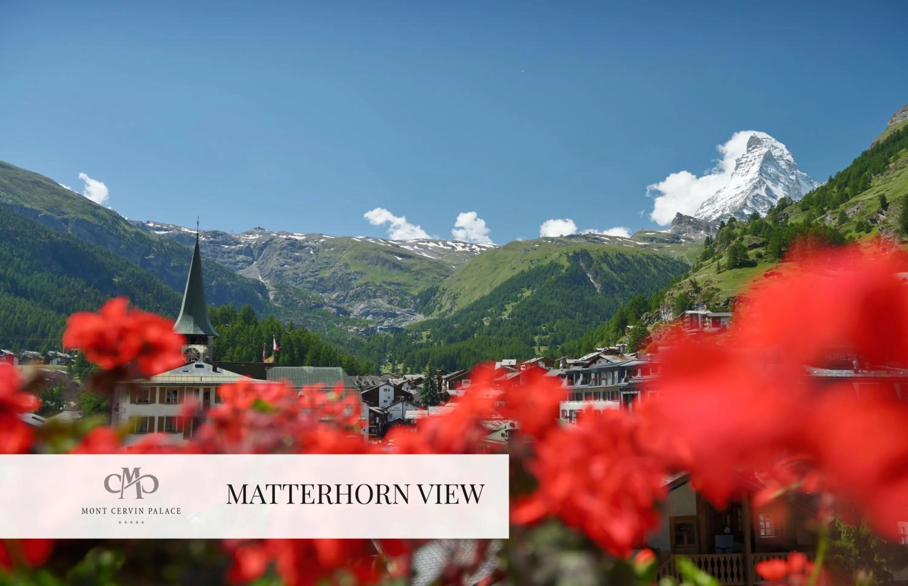 Balcony/Terrace in Mont Cervin Palace