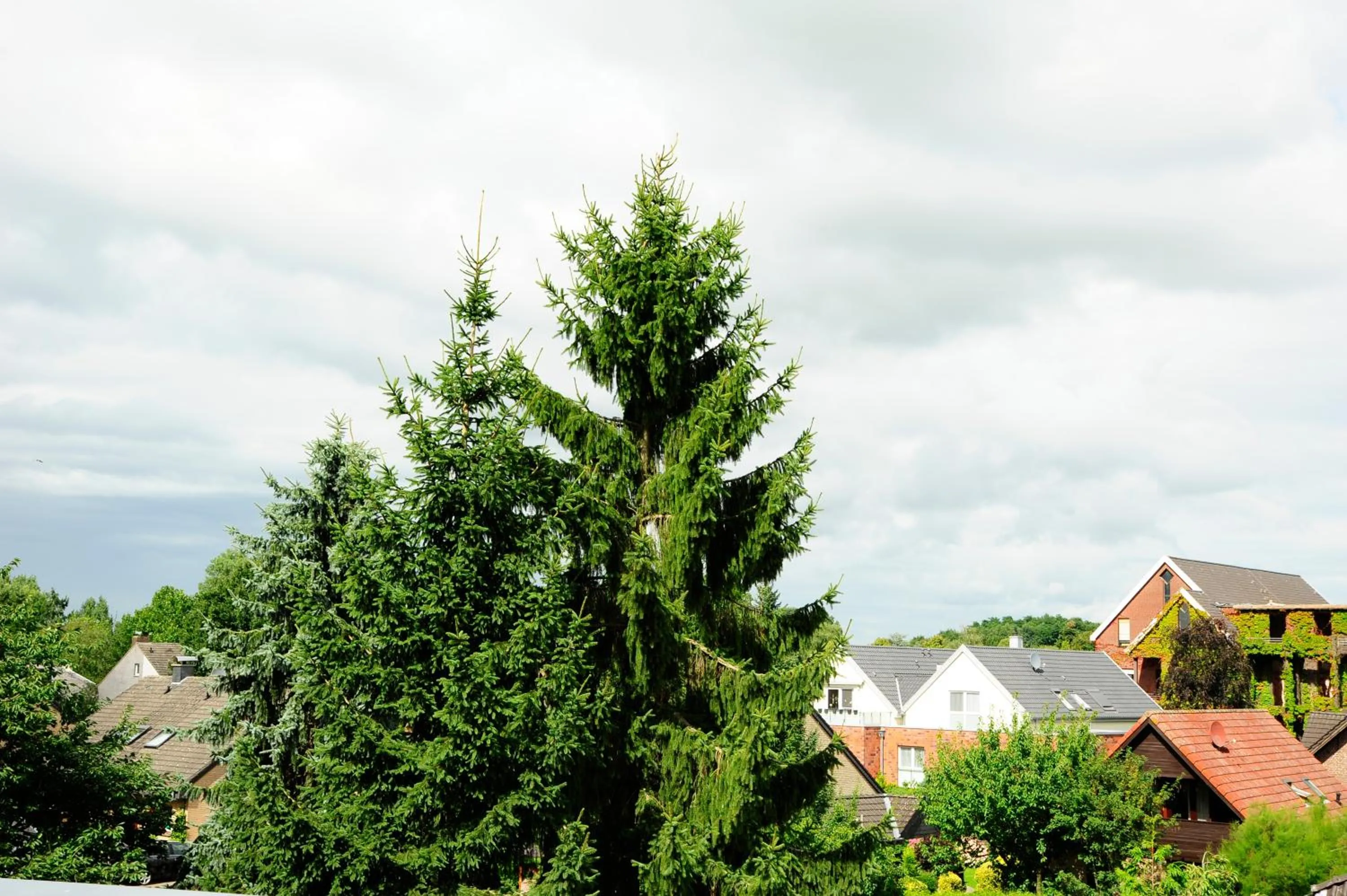 View (from property/room) in Hotel Restaurant Doppeladler