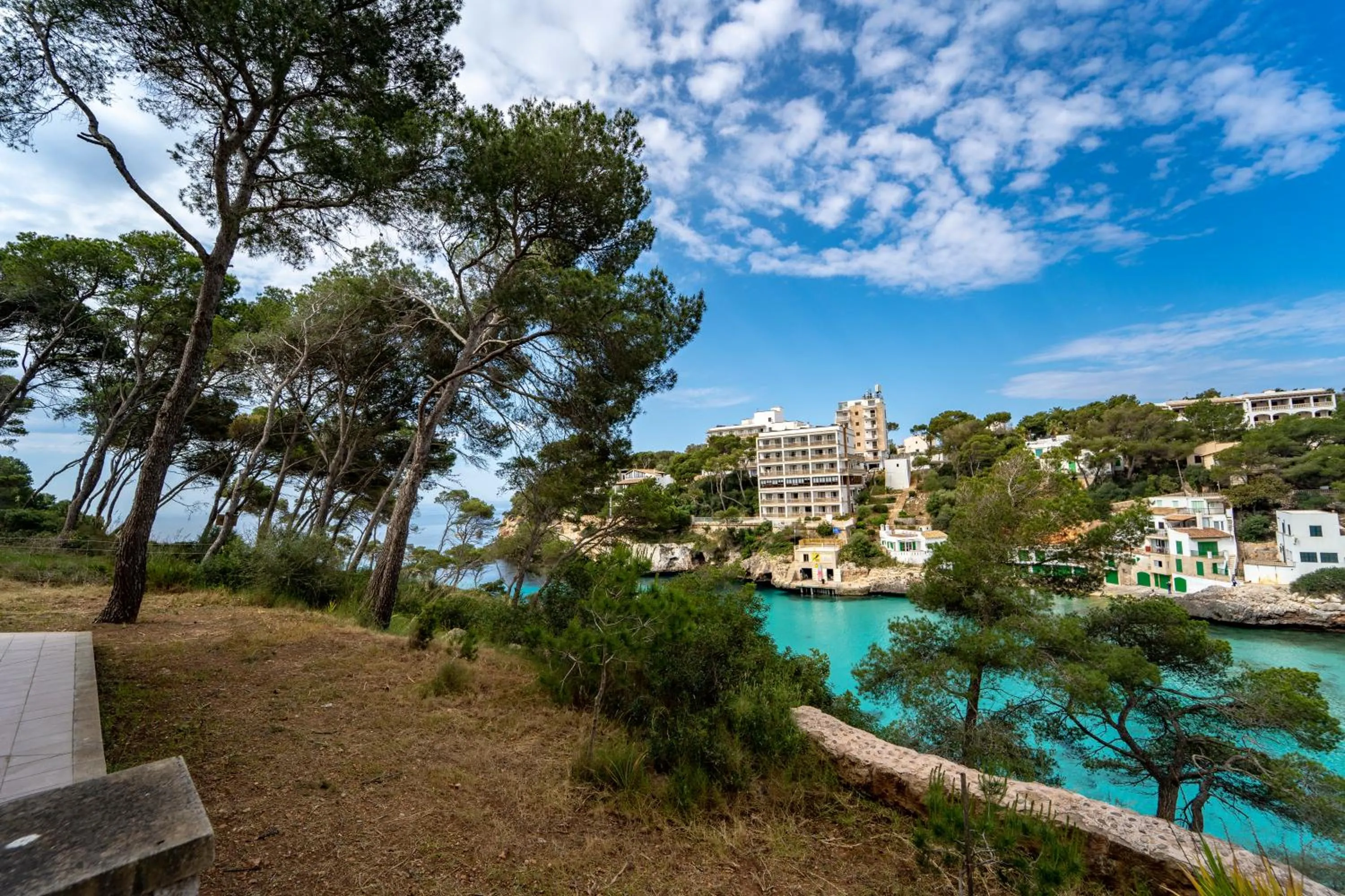 Natural landscape in Hostal Palmaria