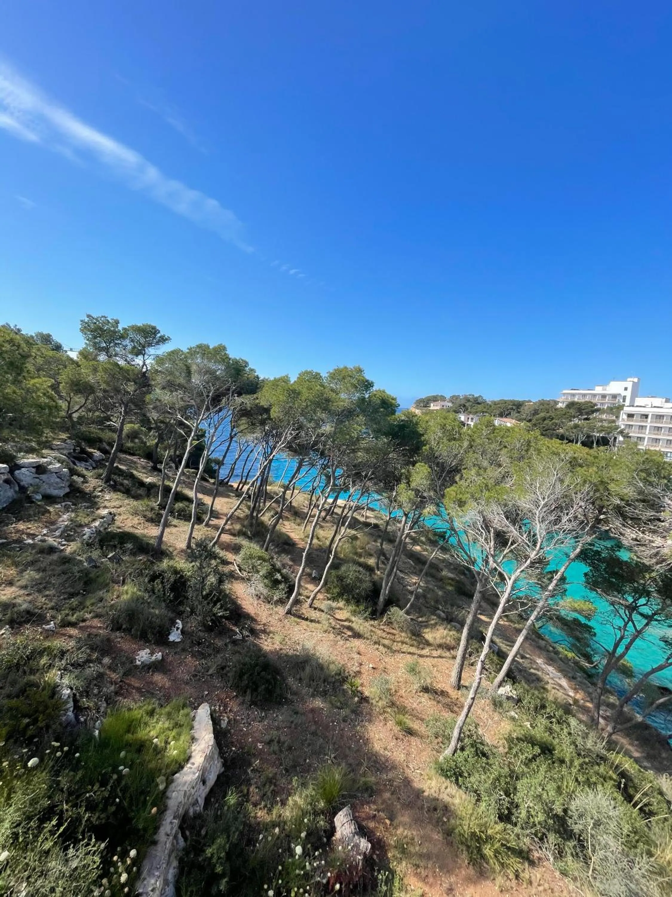 Sea view in Hostal Palmaria