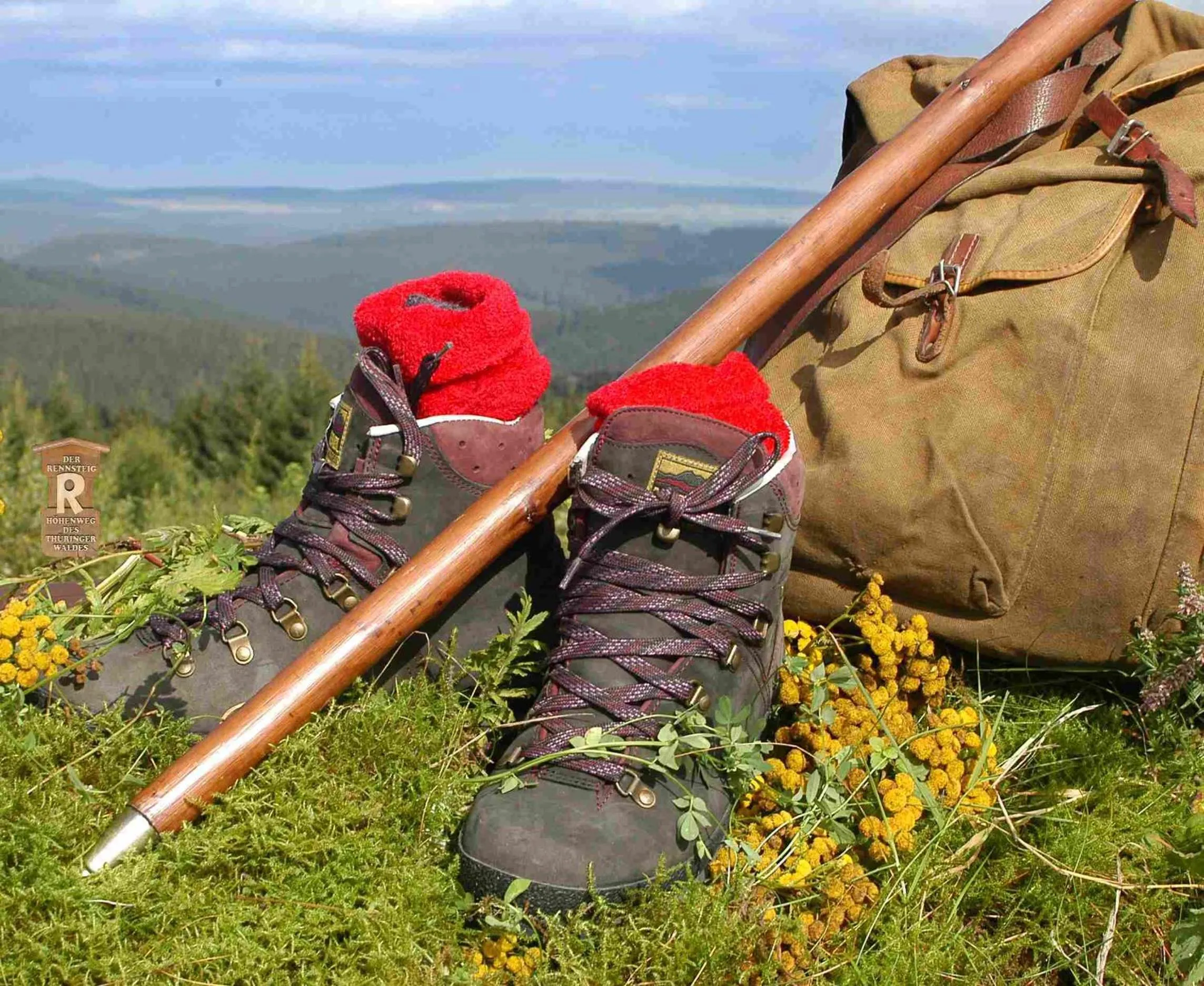 Natural landscape in Hotel Schieferhof - GlasLUST