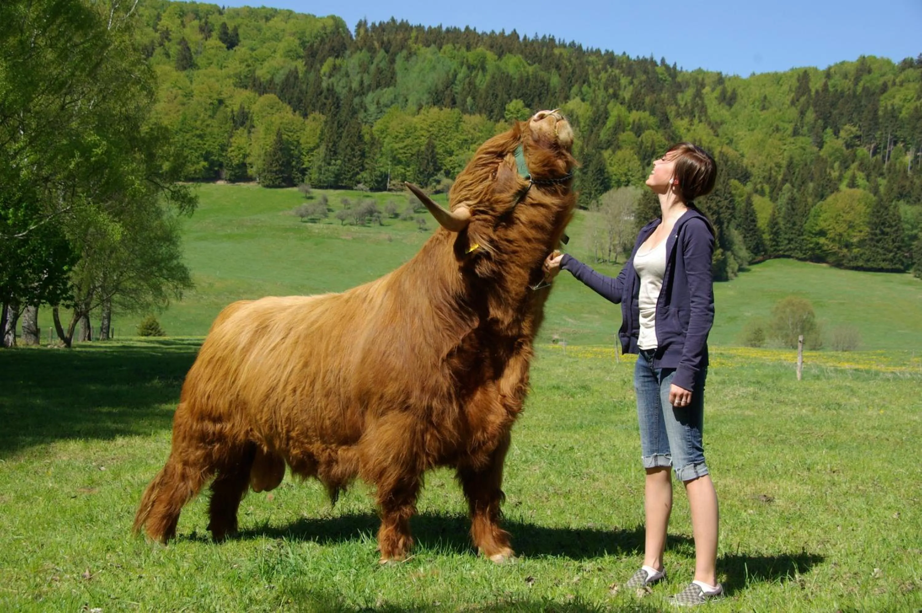 People in Hotel Schieferhof - GlasLUST