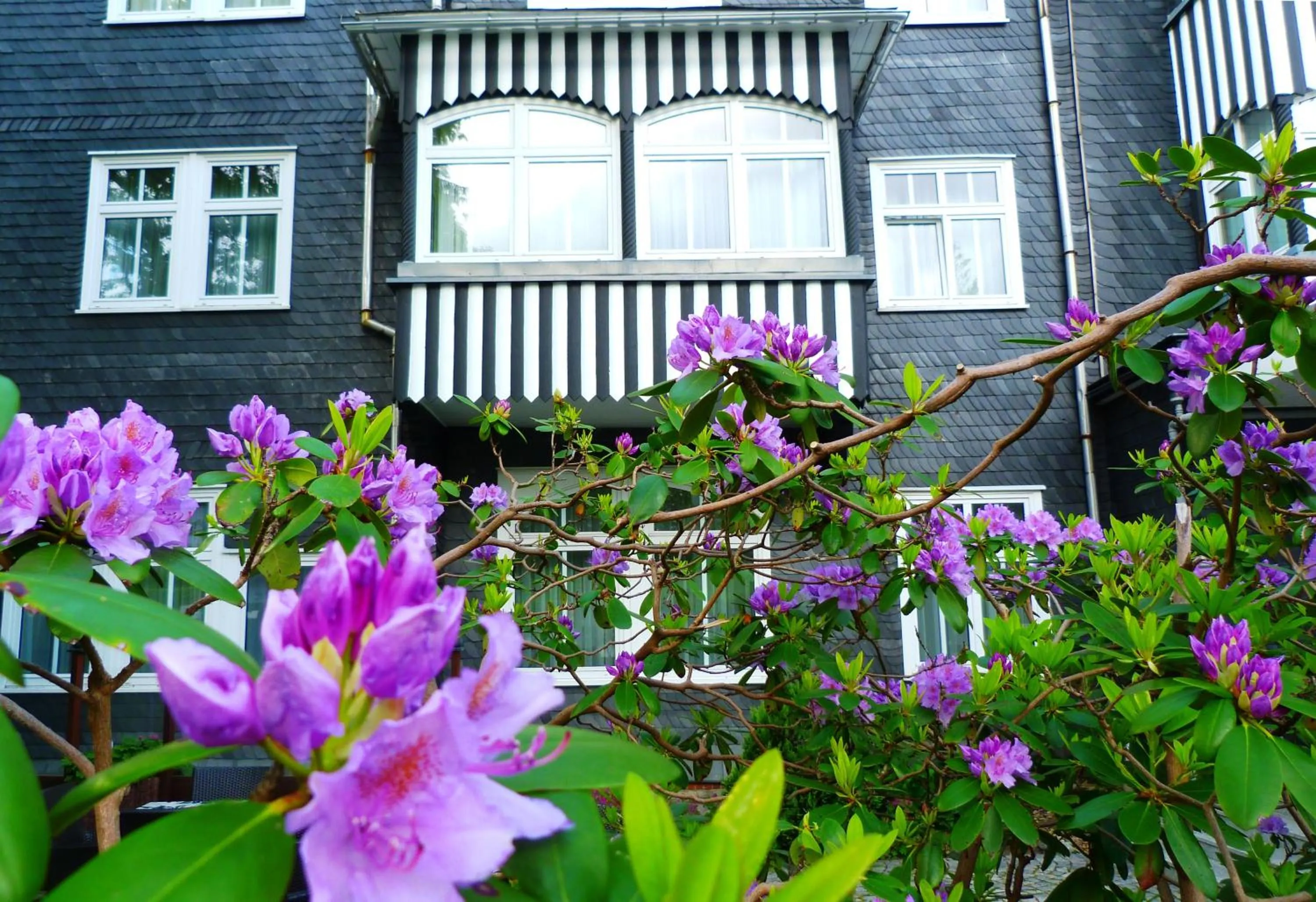 Facade/entrance in Hotel Schieferhof - GlasLUST