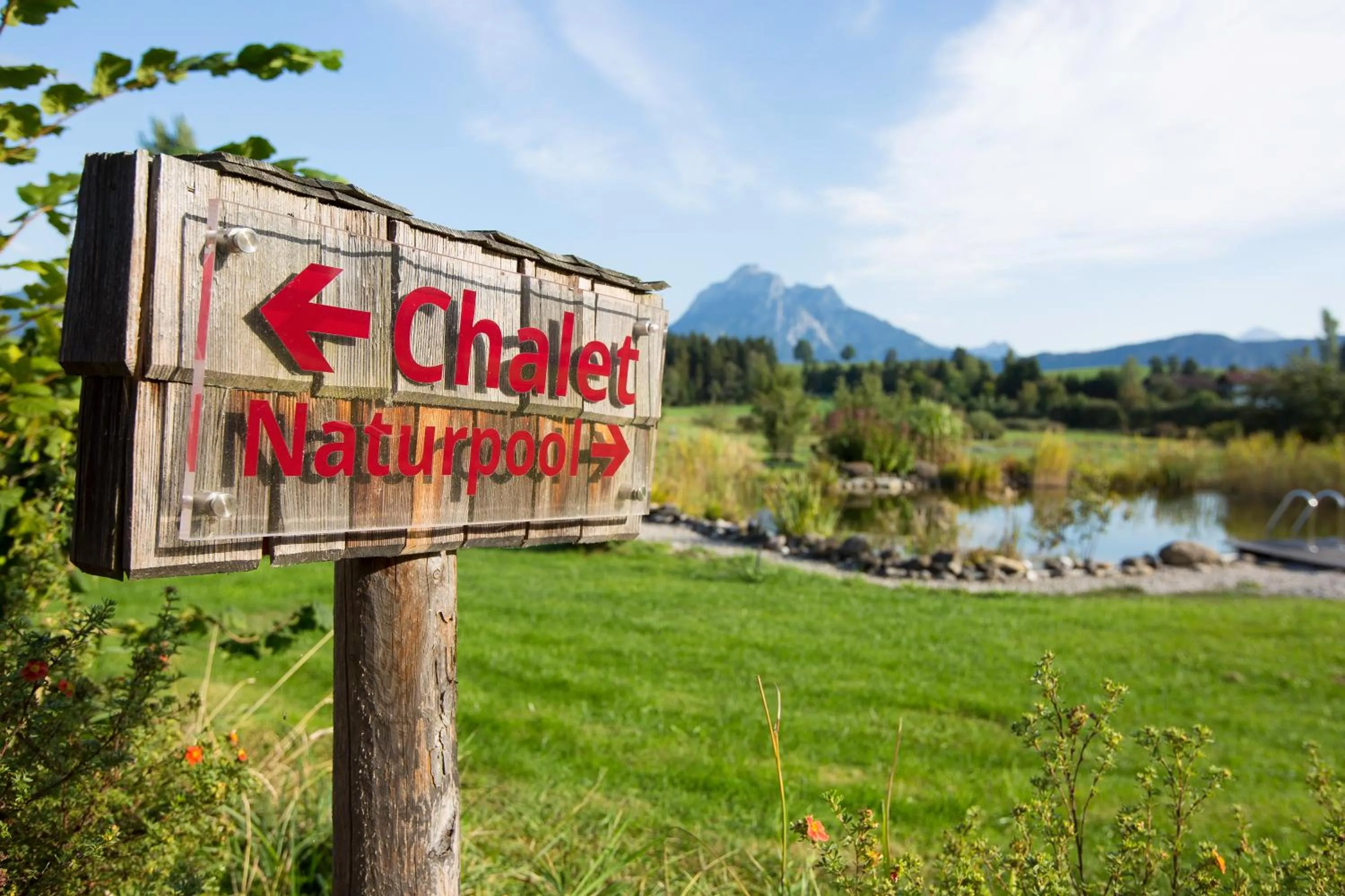 Garden view in Landhaus Kössel