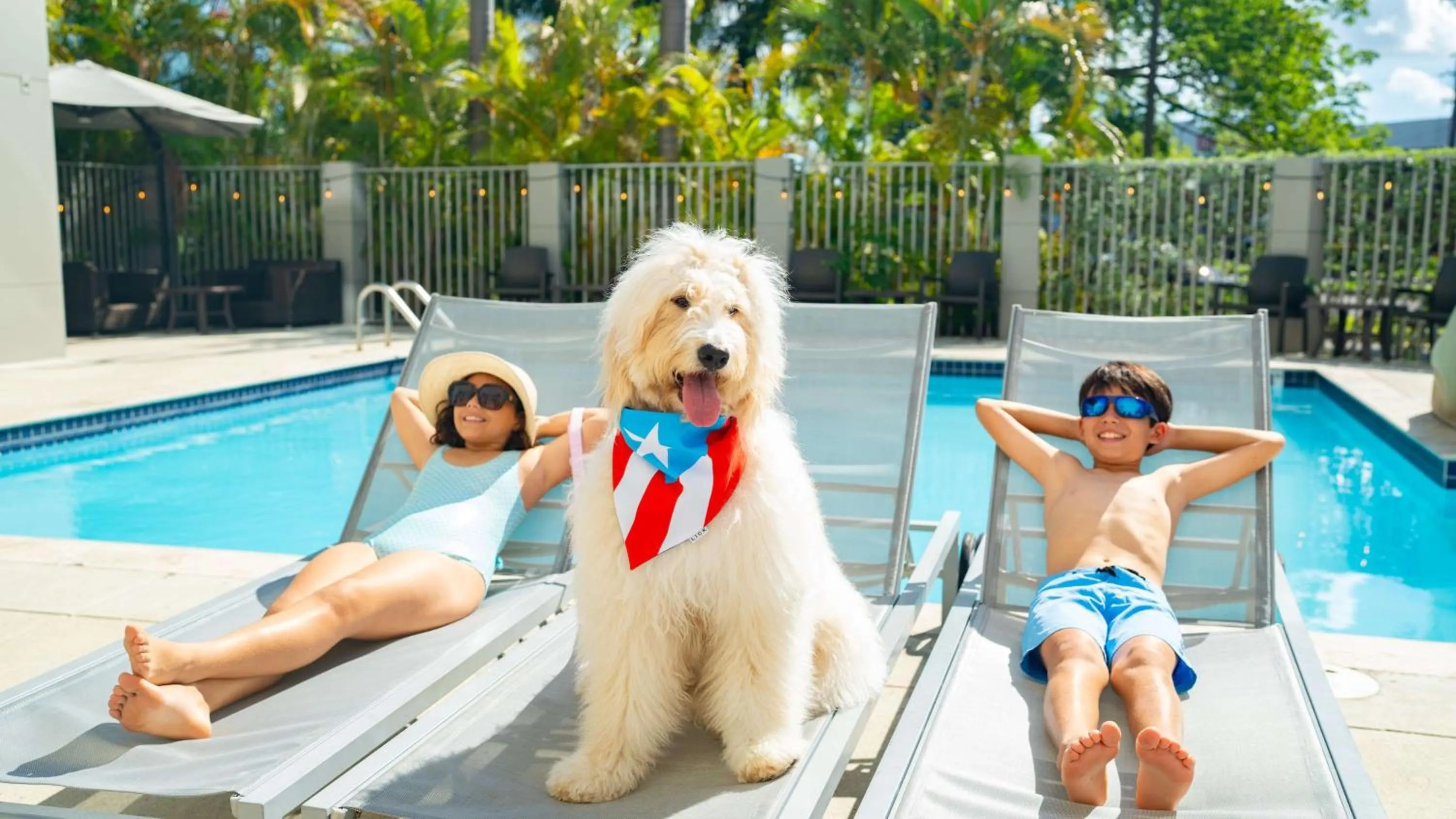 Day in Hyatt Place Bayamon