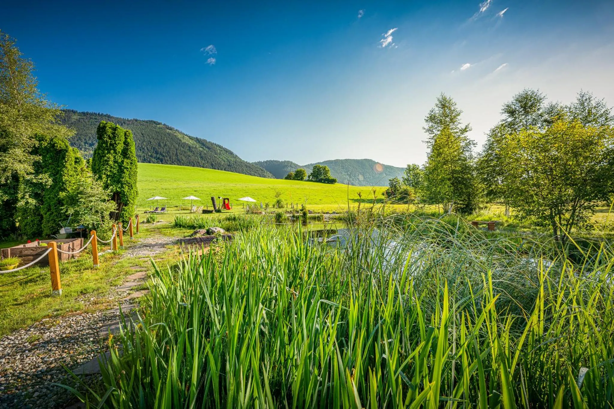 Garden in Hotel Frohnatur