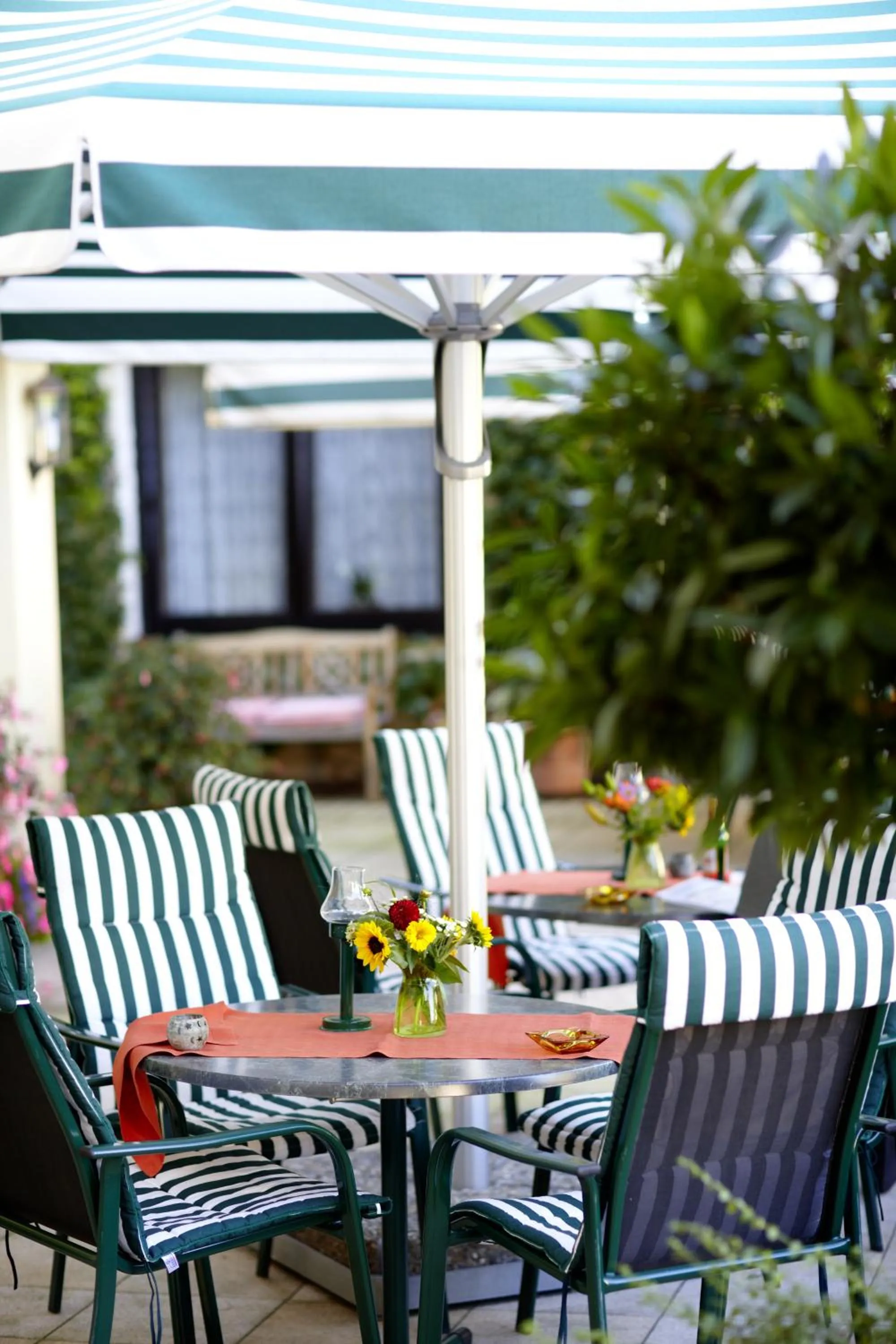 Patio in Hotel Grünwald