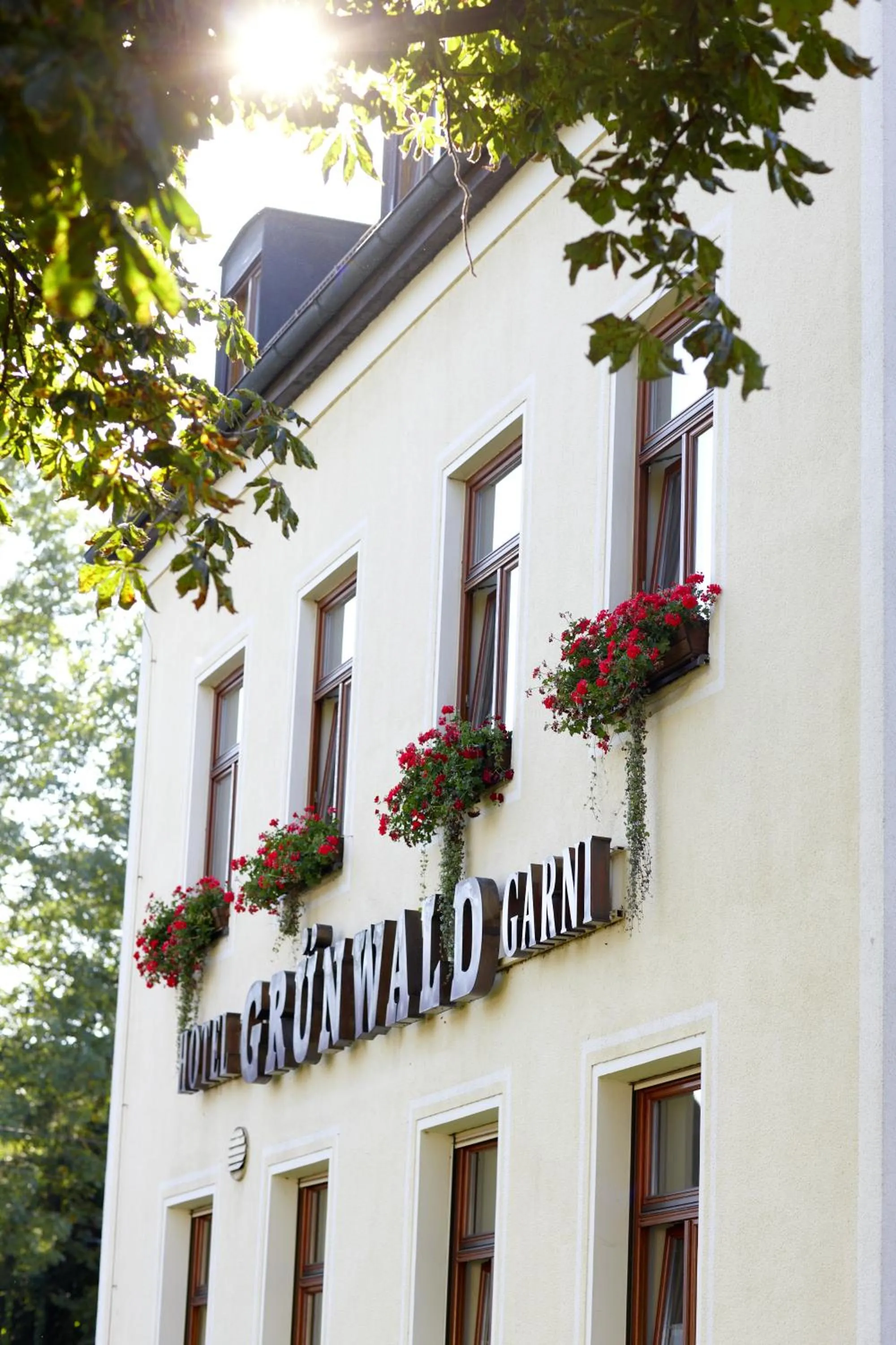 Property building in Hotel Grünwald