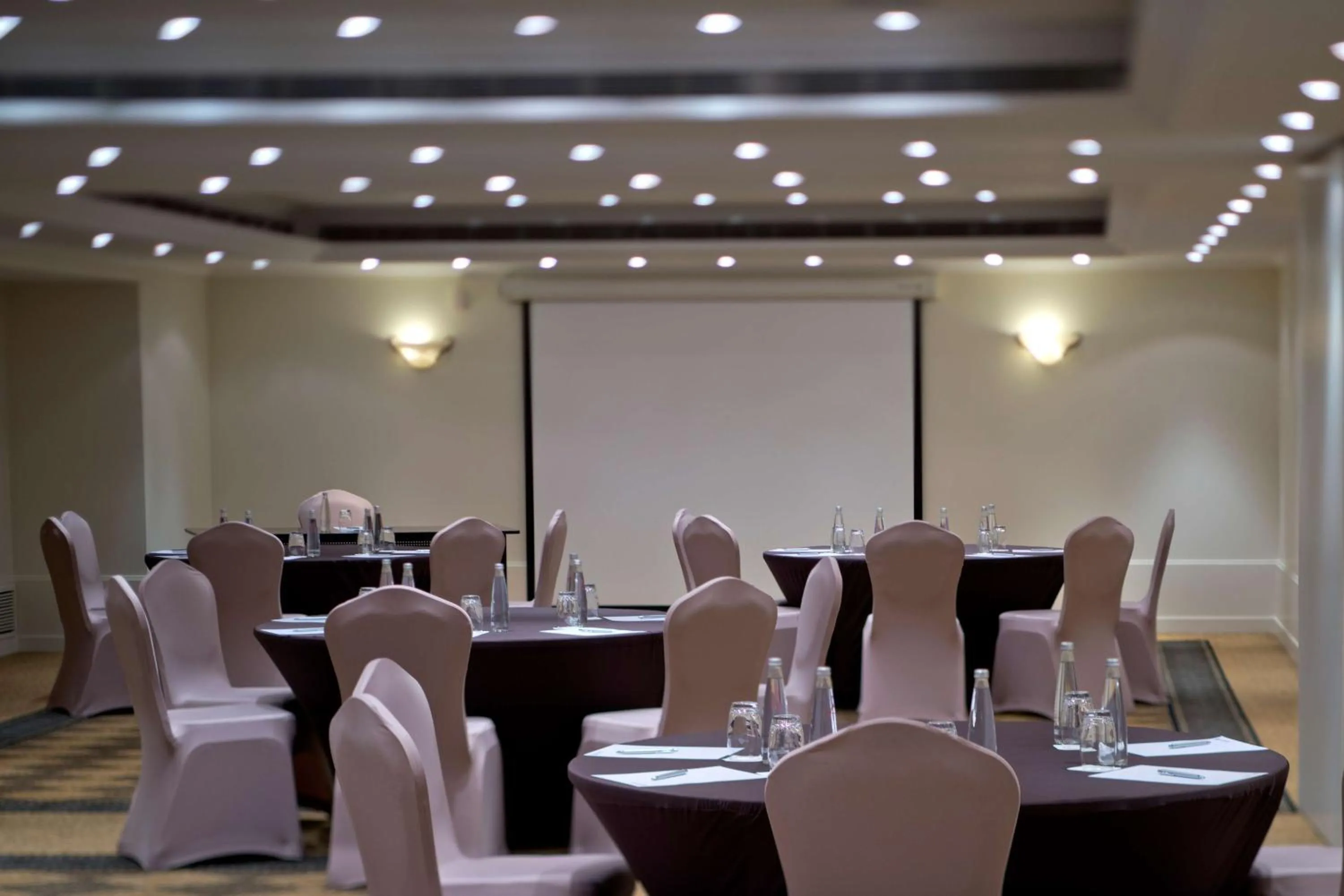 Meeting/conference room in Radisson Blu Martinez Beirut