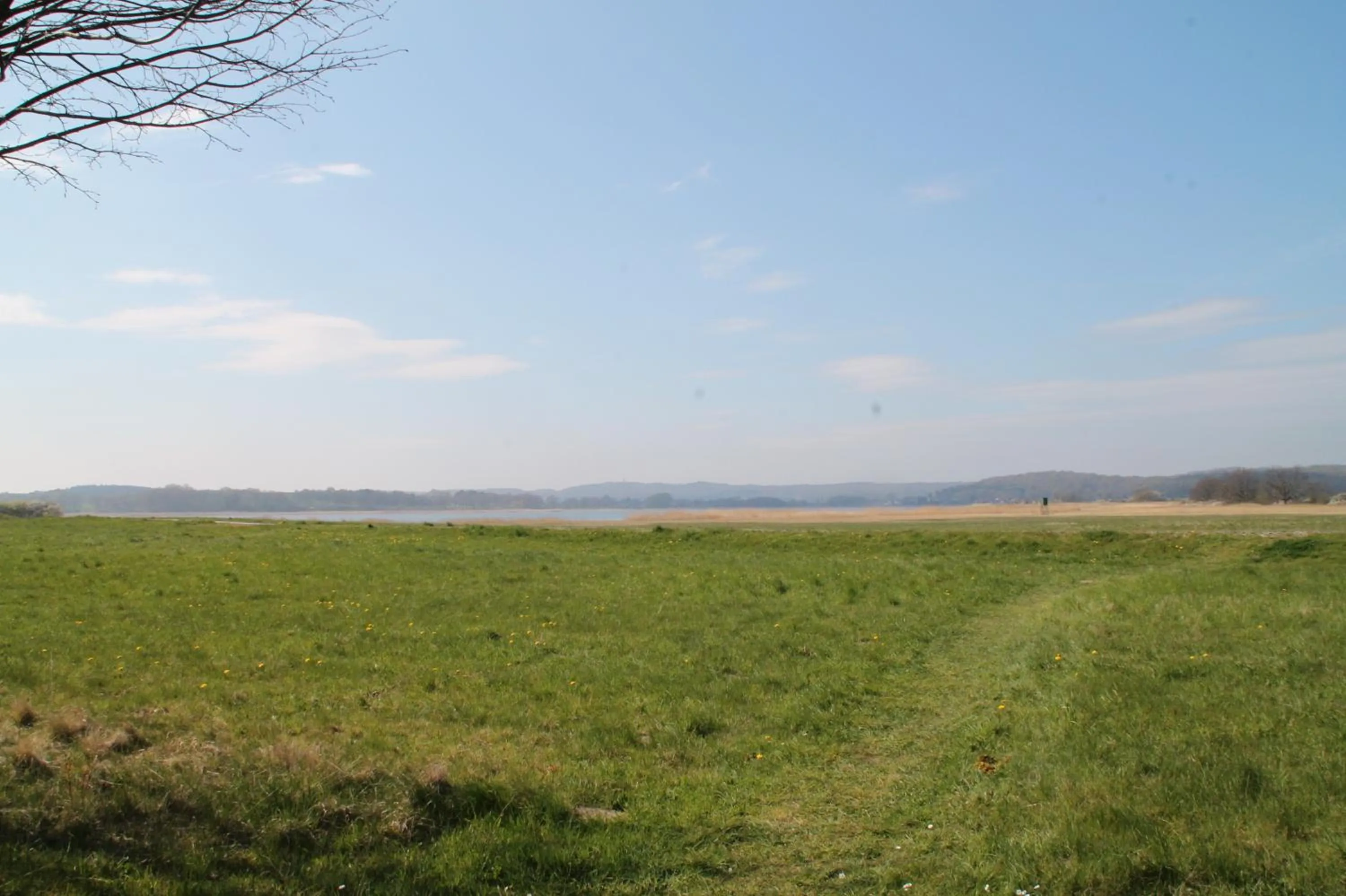 View (from property/room) in Hotel Am See