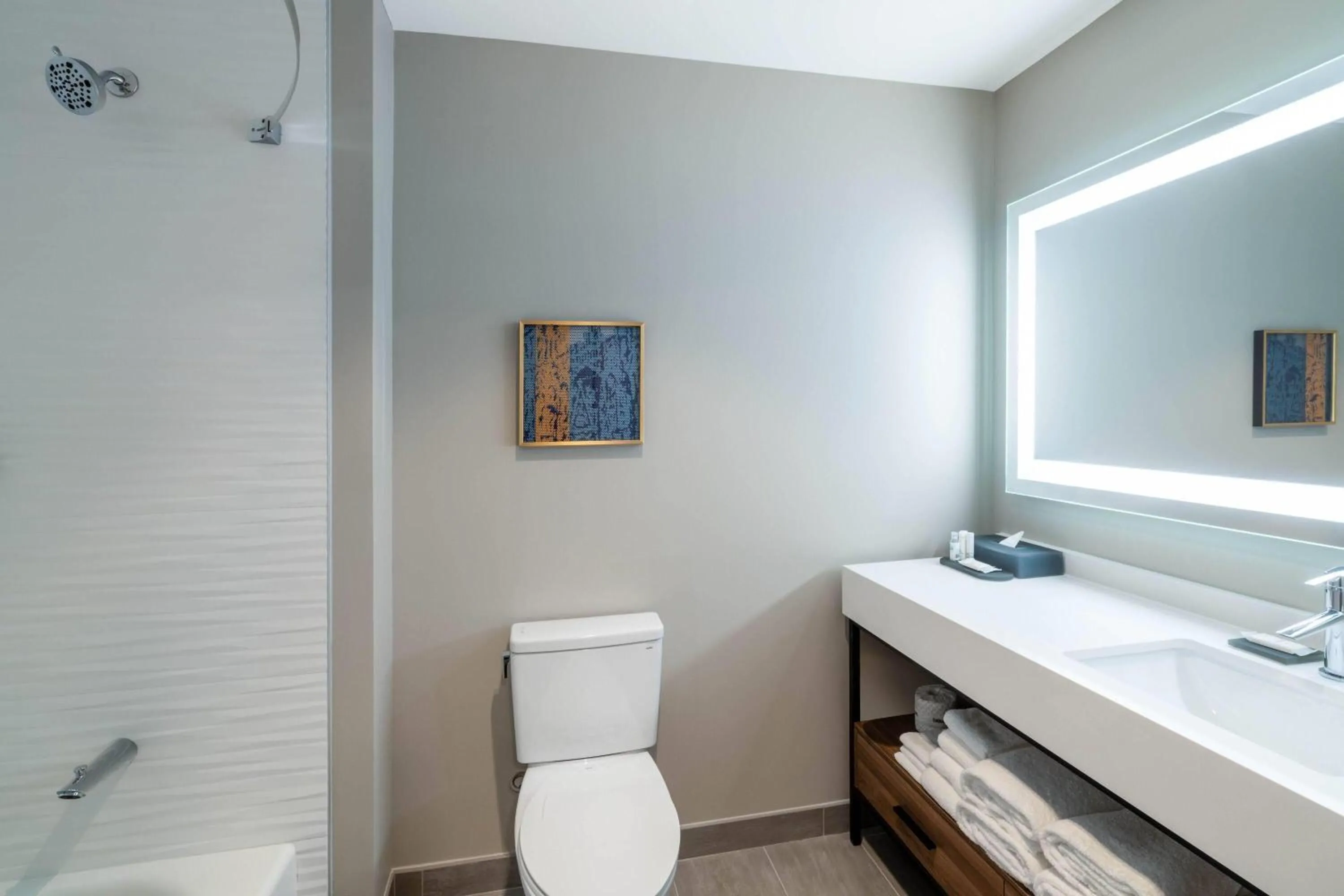 Bathroom in La Quinta Inn & Suites by Wyndham Nashville Downtown Stadium