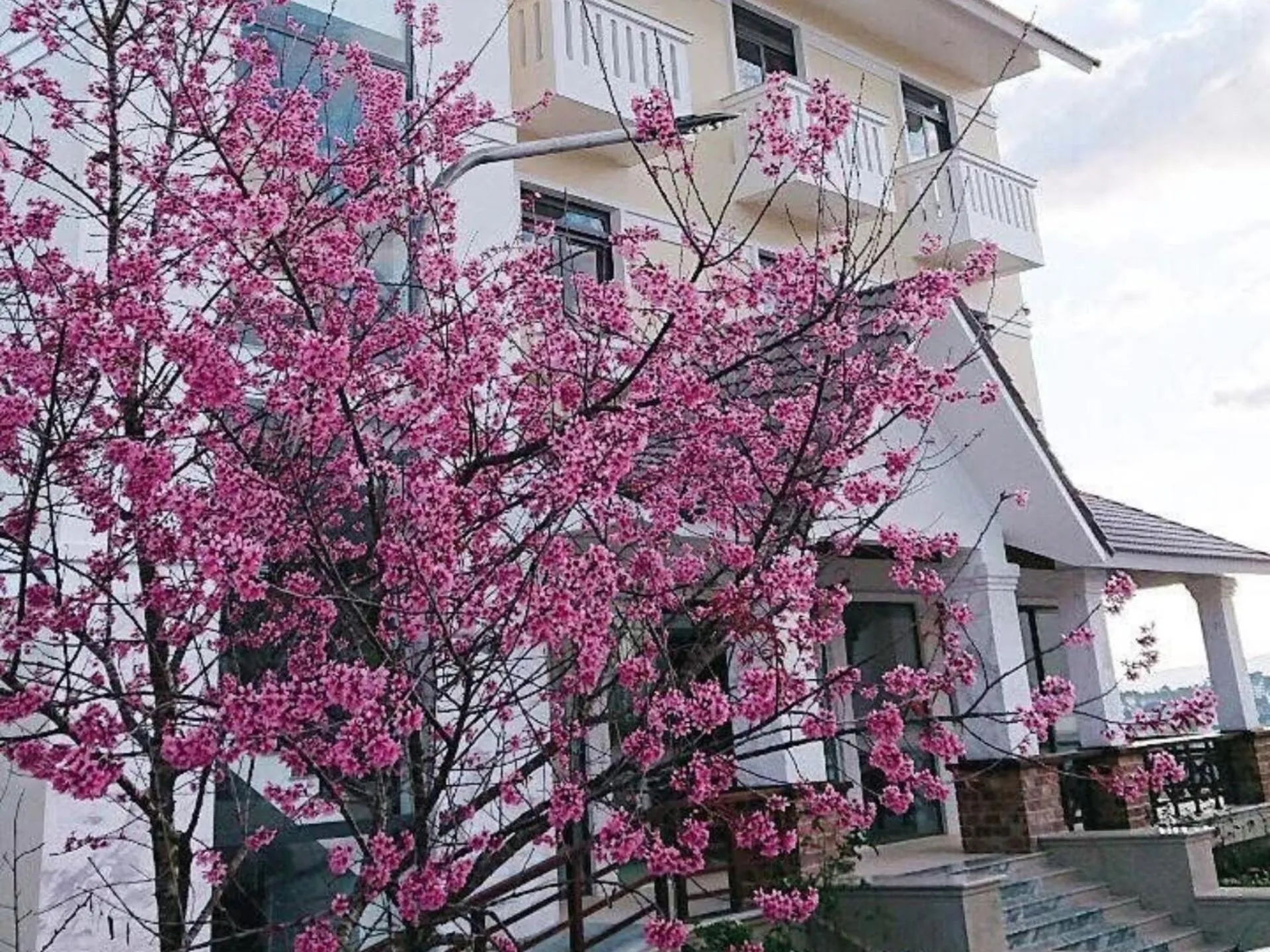 Property building in Thanh Loan 2 Da Lat Hotel