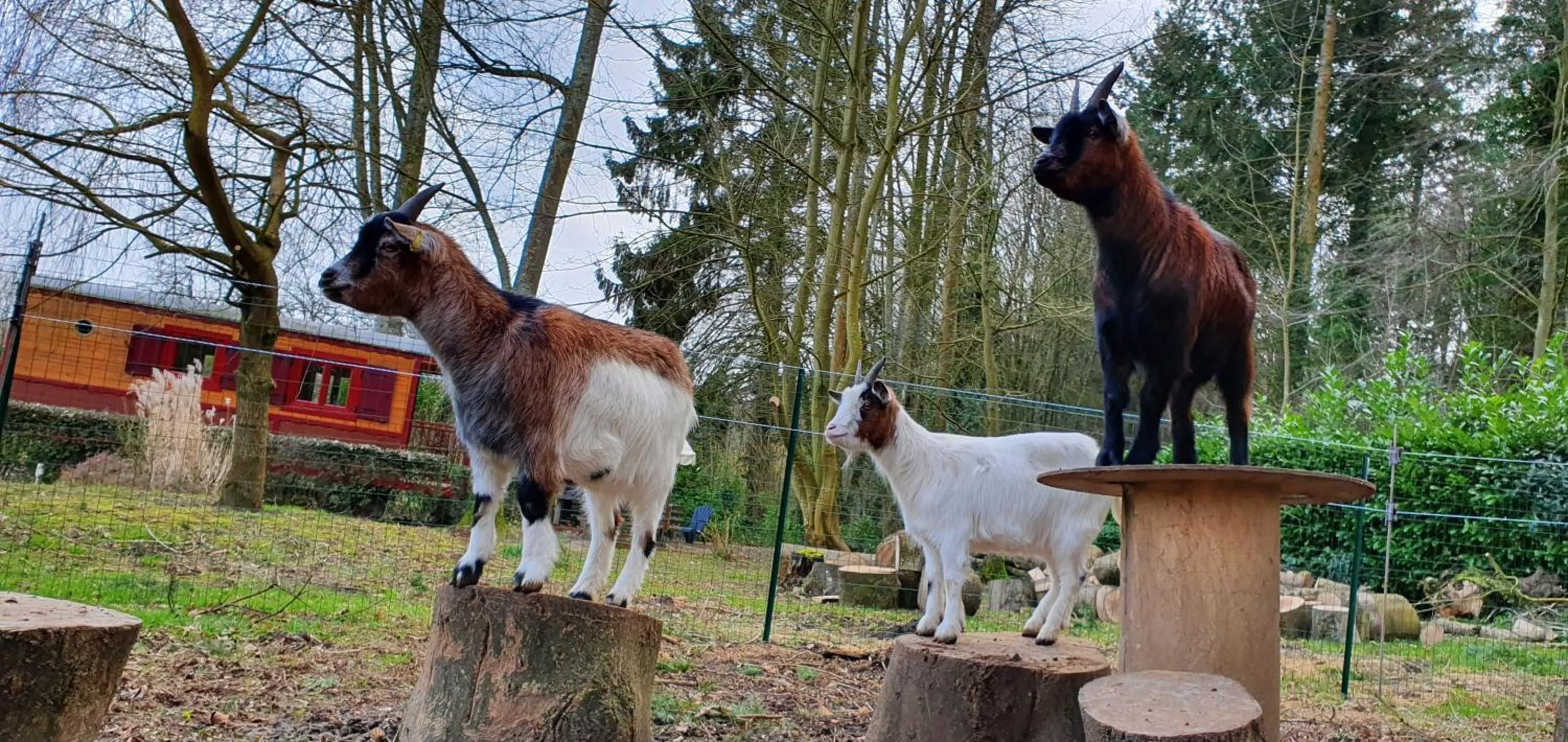 Property building in La Fermette des Ramolleux