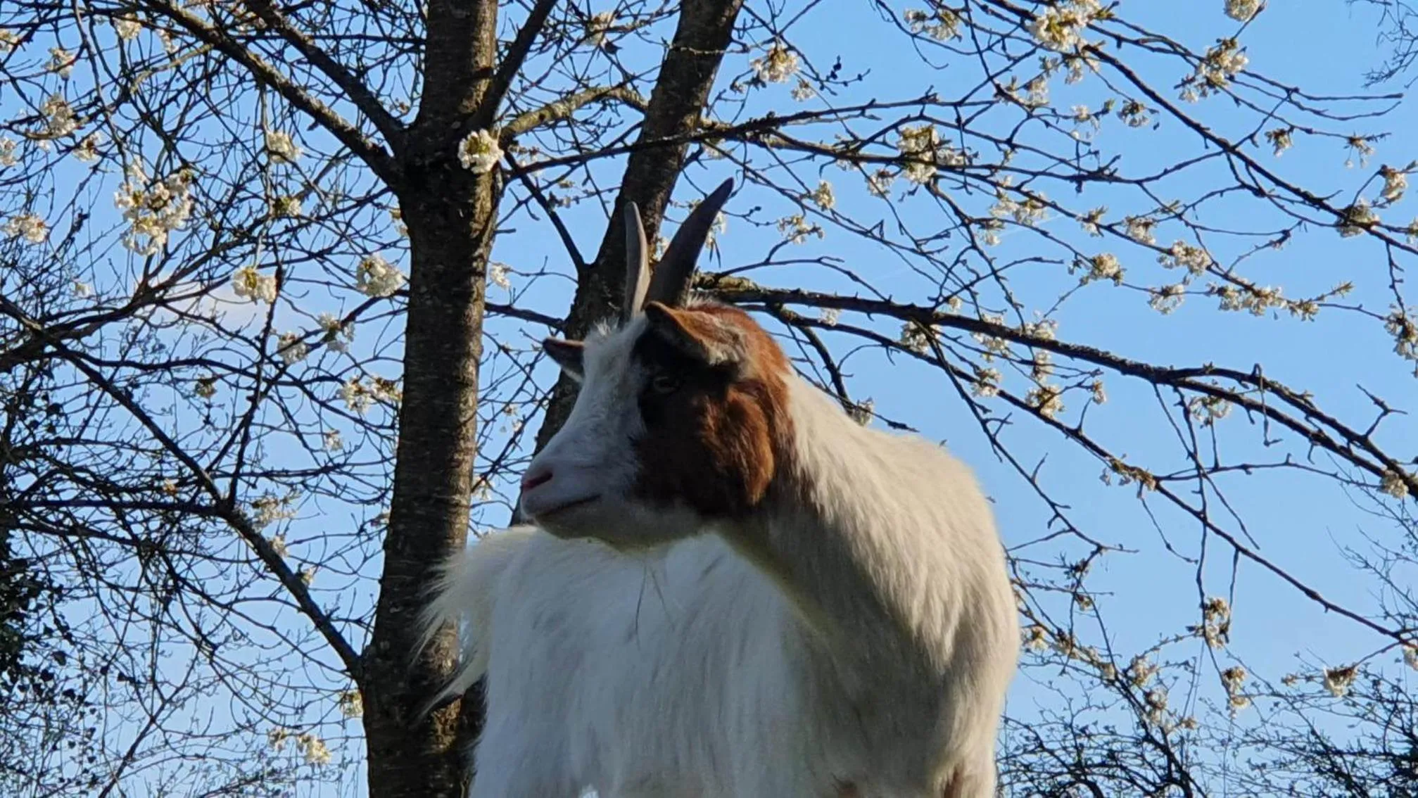 Natural landscape in La Fermette des Ramolleux