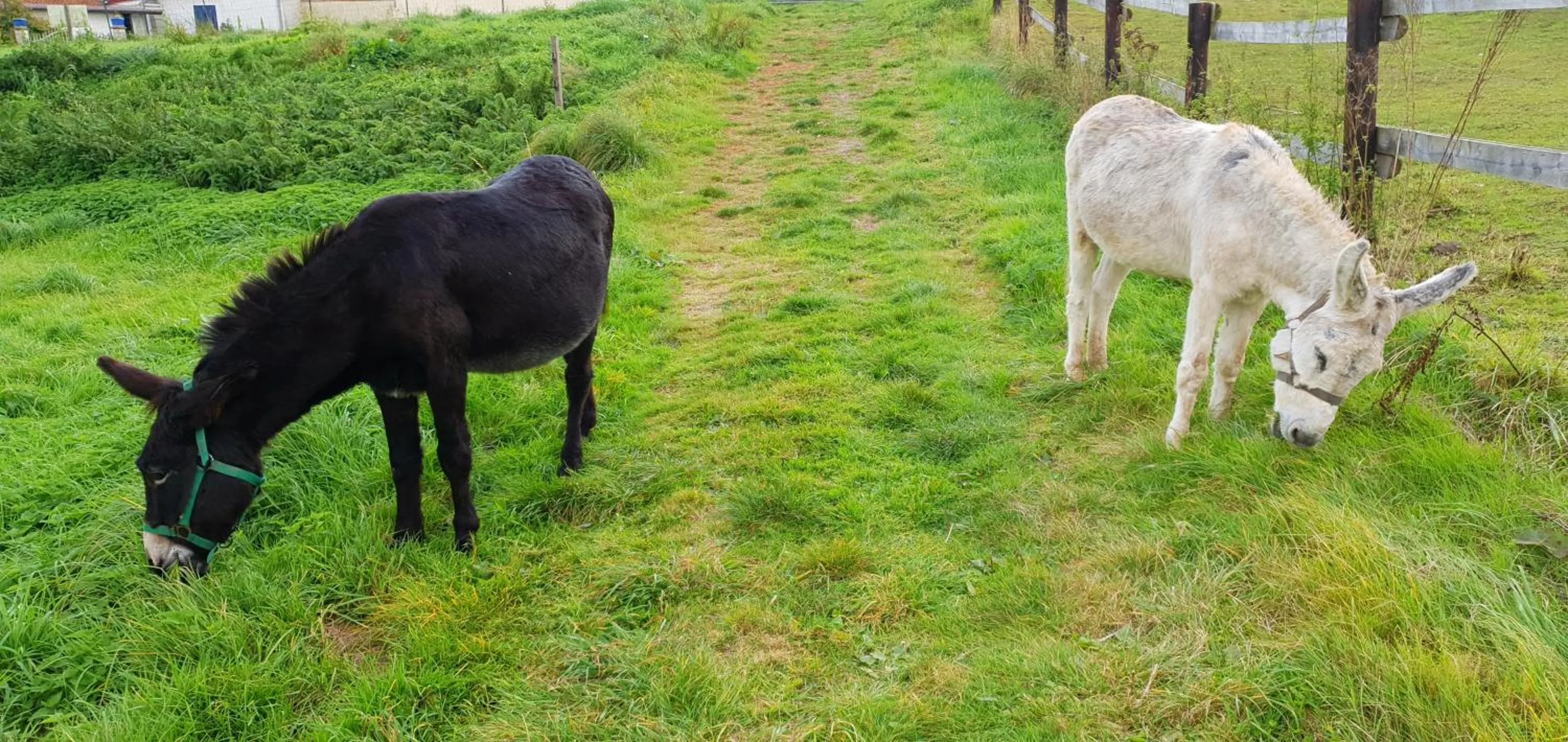 Property building in La Fermette des Ramolleux