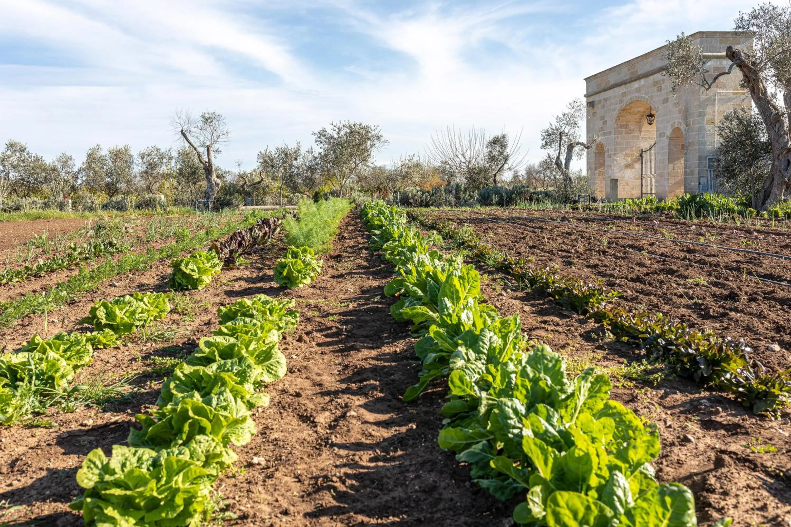 Garden in Relais Borgo Segine