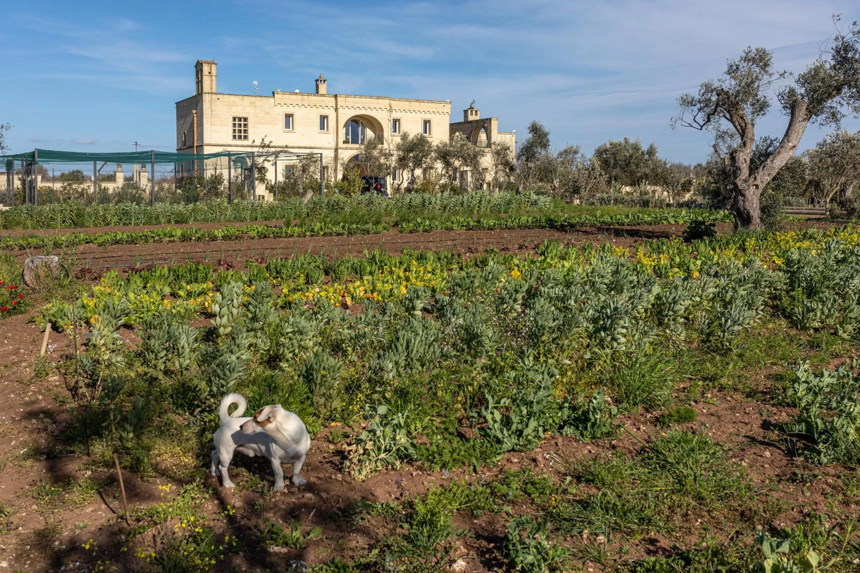 Garden in Relais Borgo Segine