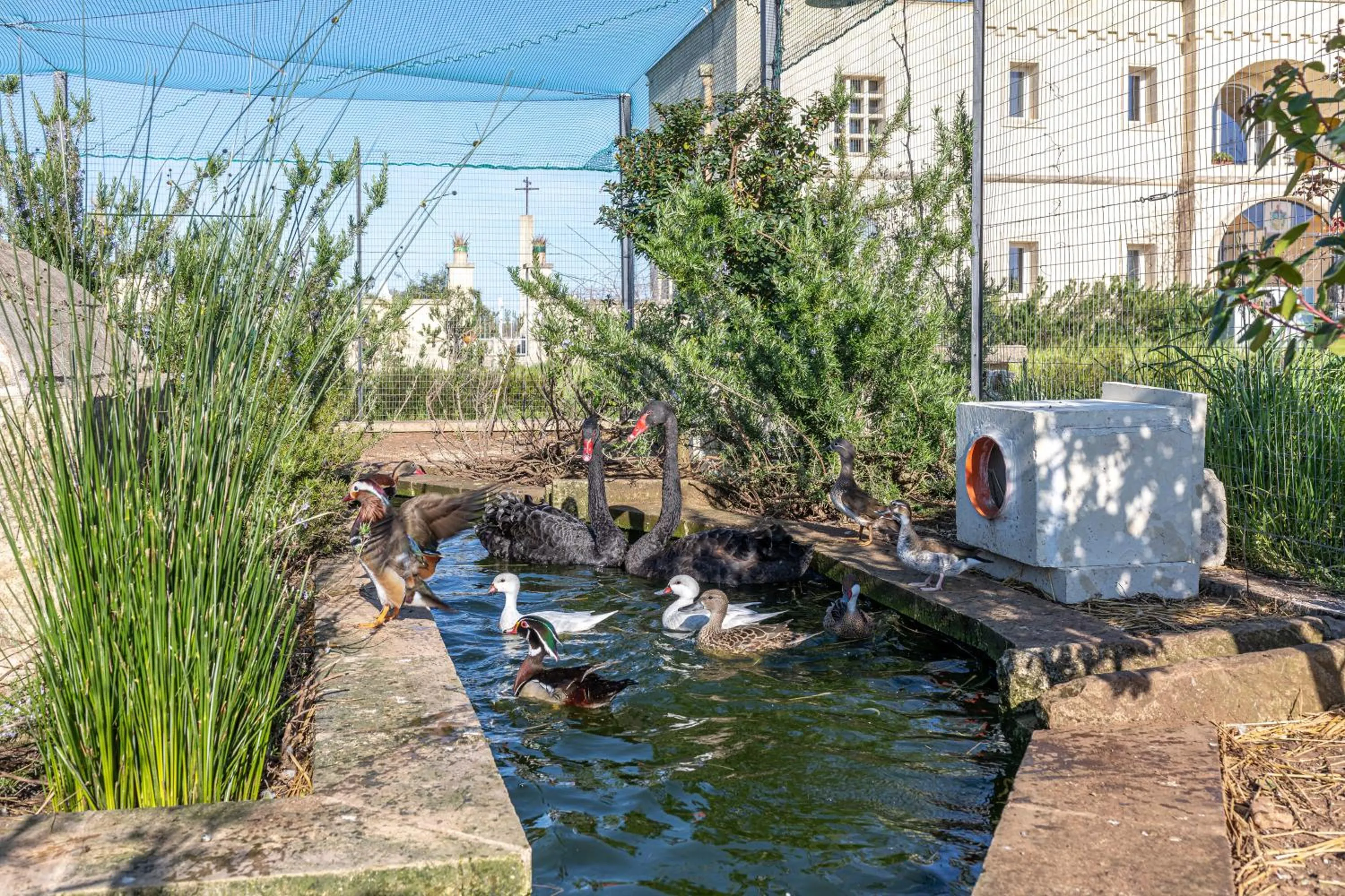 Animals in Relais Borgo Segine