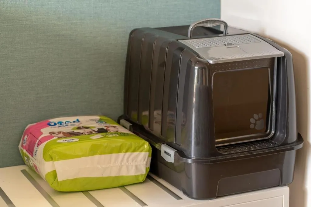 Photo of the whole room in Castival Hotel