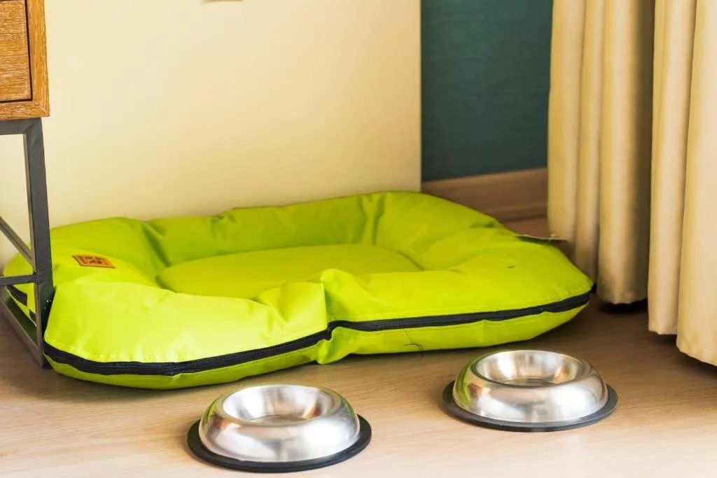 Photo of the whole room in Castival Hotel