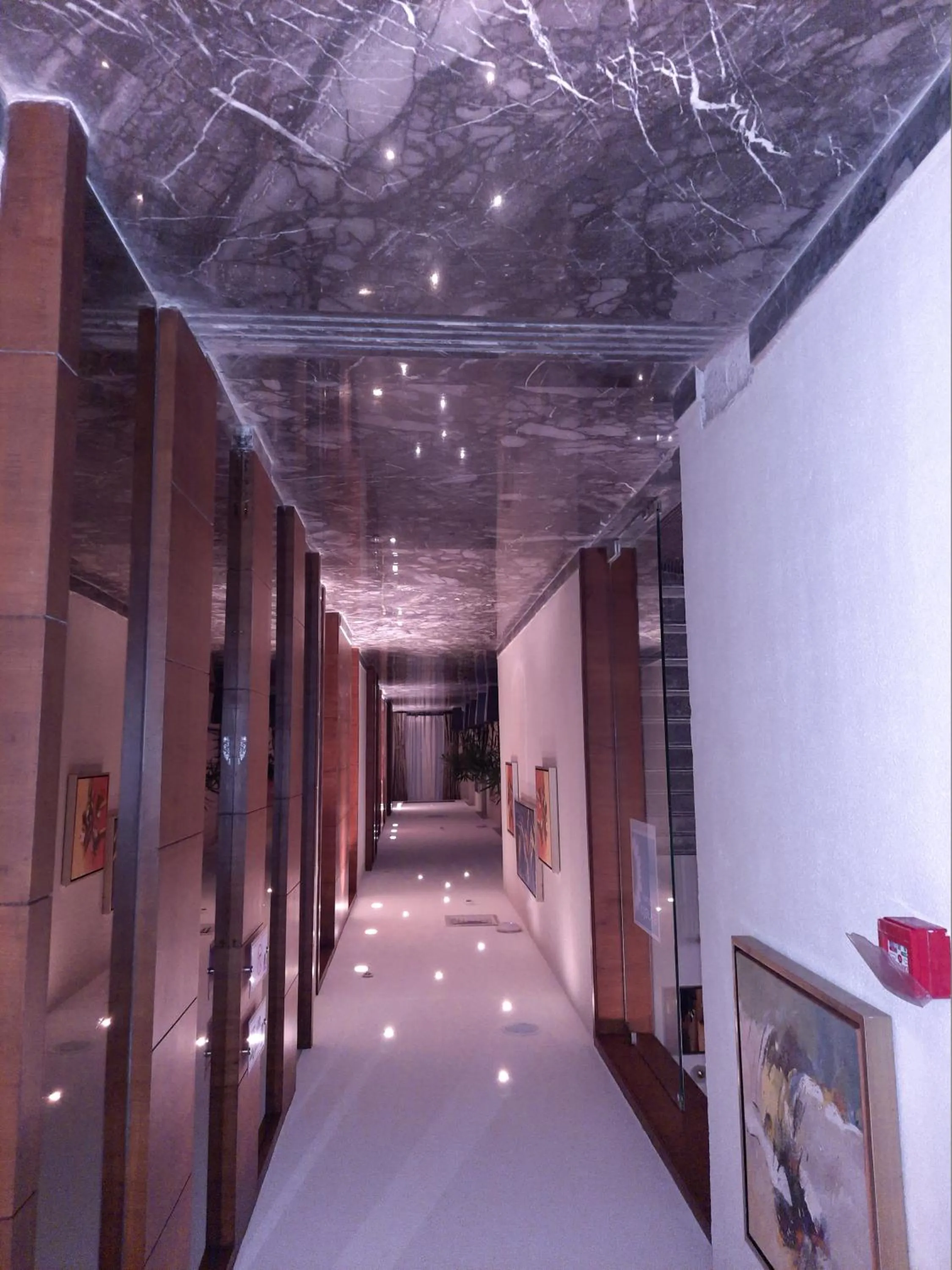 Guests in Jay Clarks Exotica