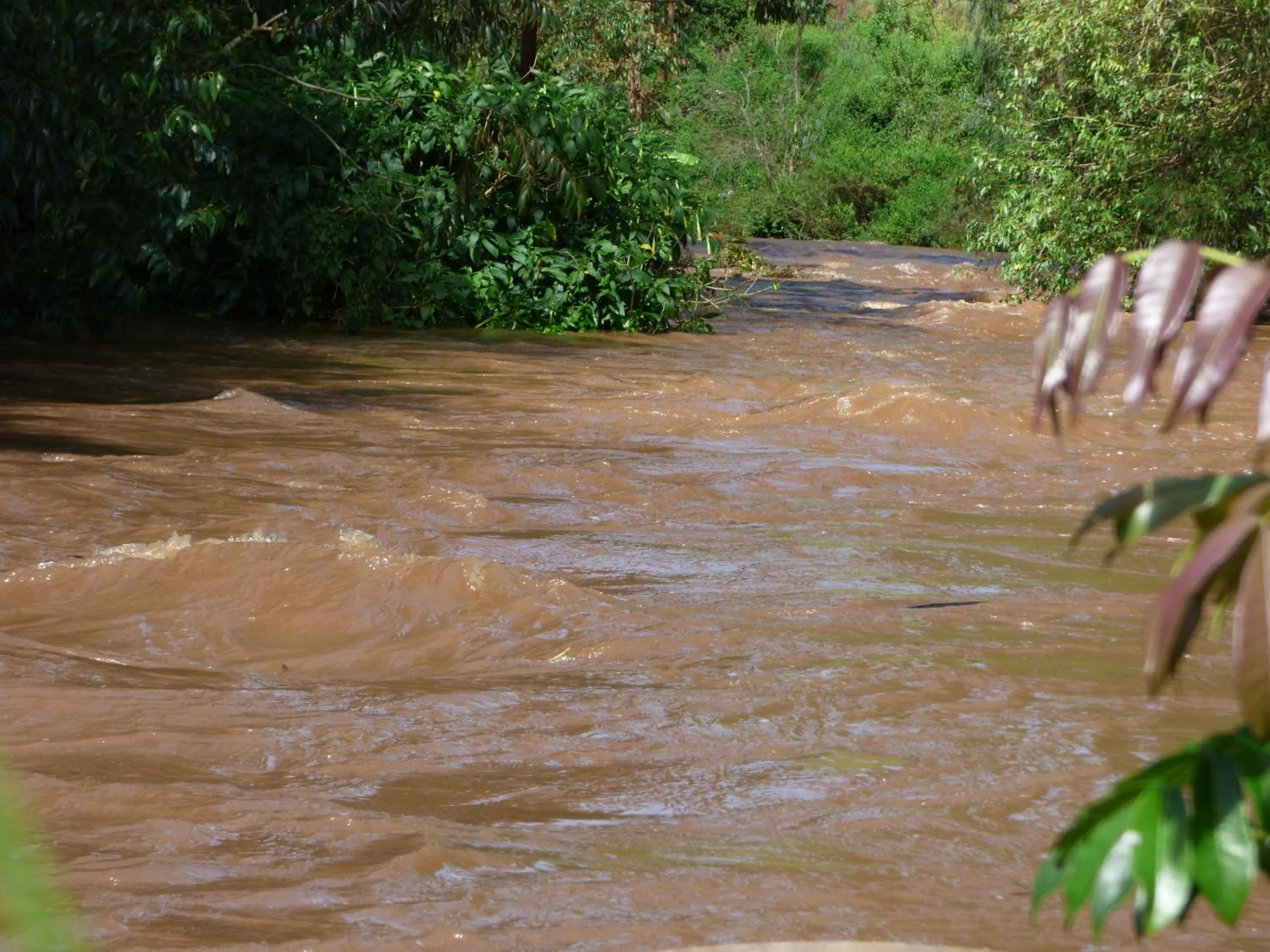 Neighbourhood in Le Pristine Wellness and Healing Hotel