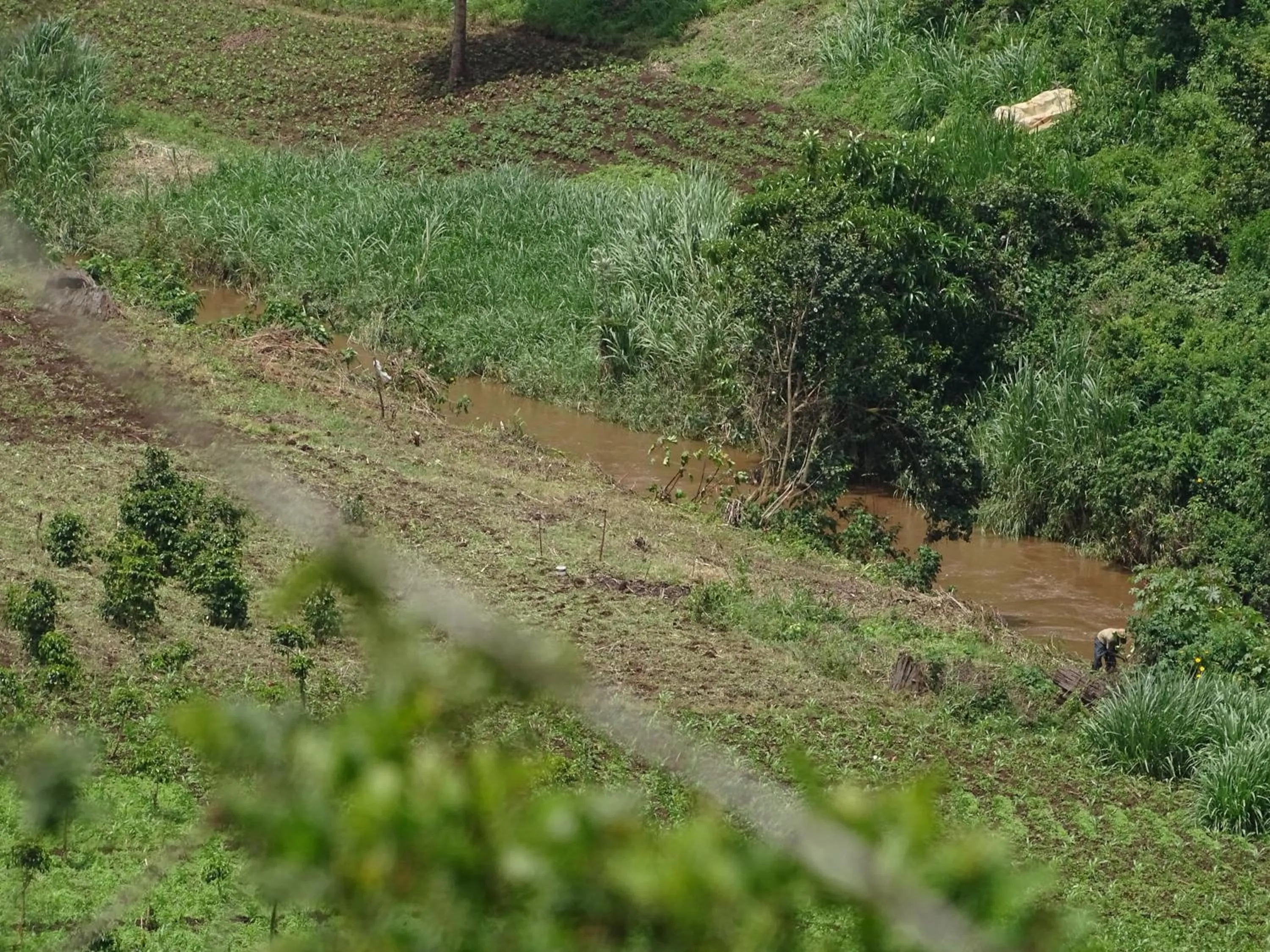 Spring in Le Pristine Wellness and Healing Hotel