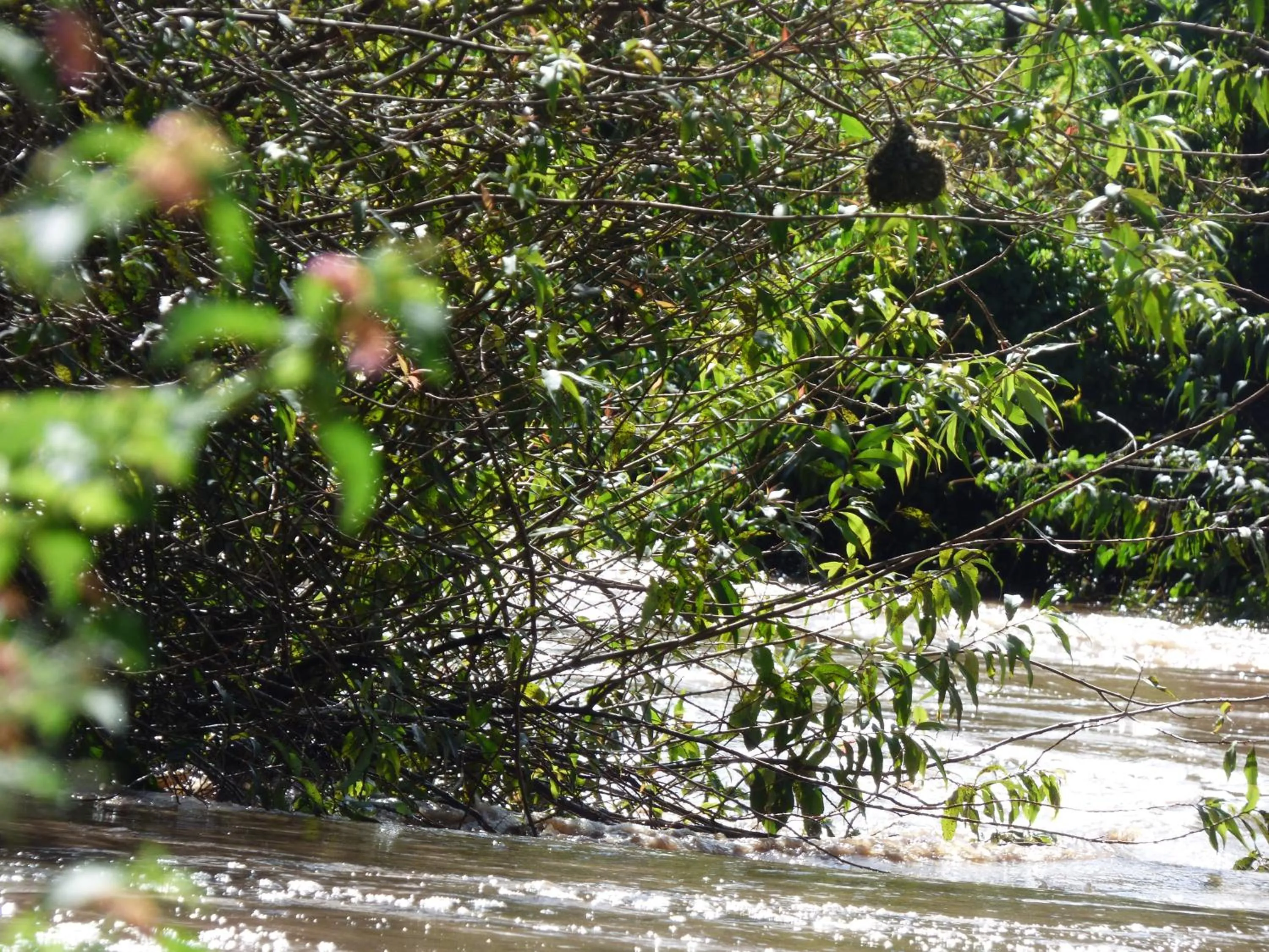 Natural landscape in Le Pristine Wellness and Healing Hotel