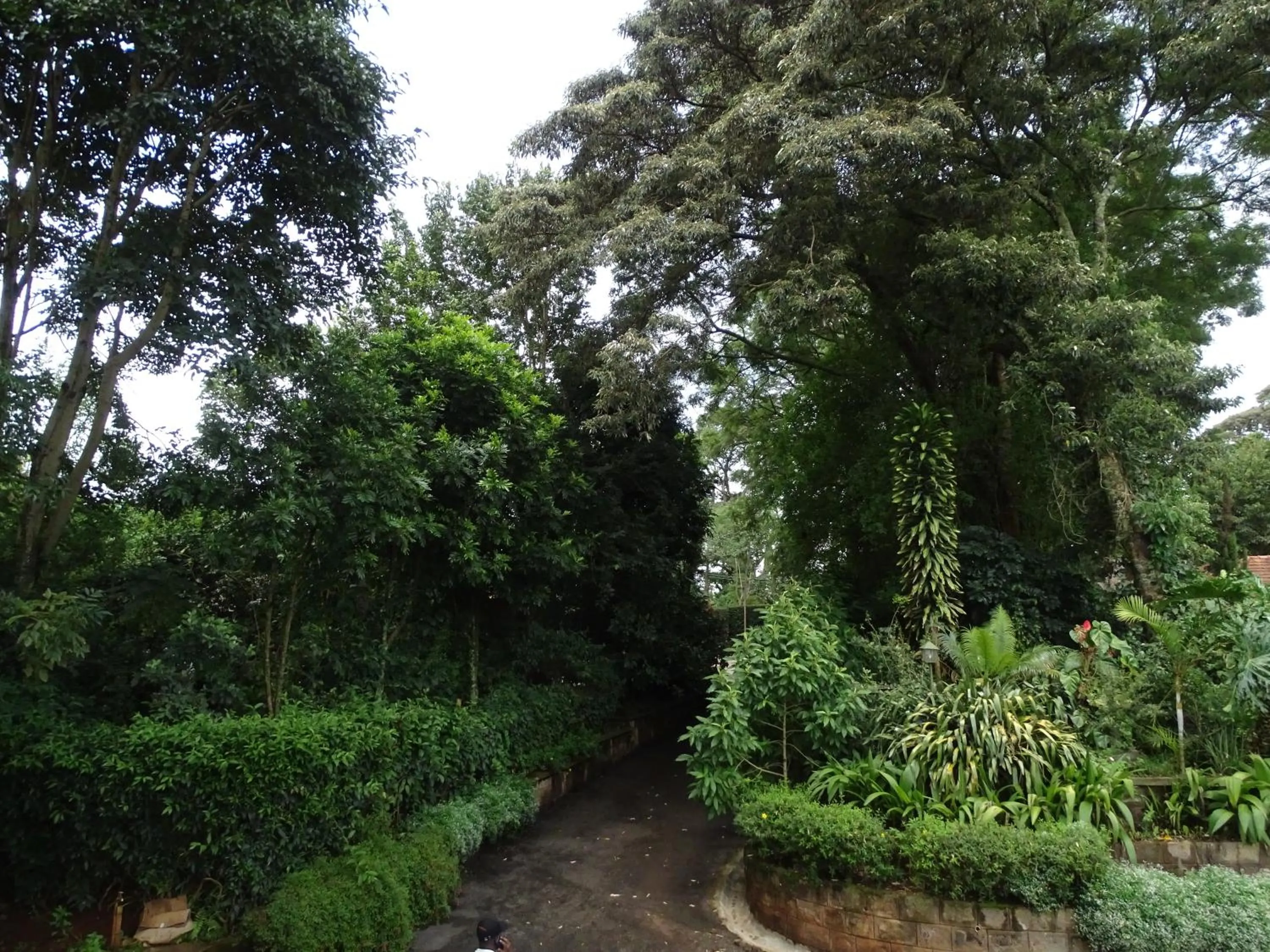 Day in Le Pristine Wellness and Healing Hotel