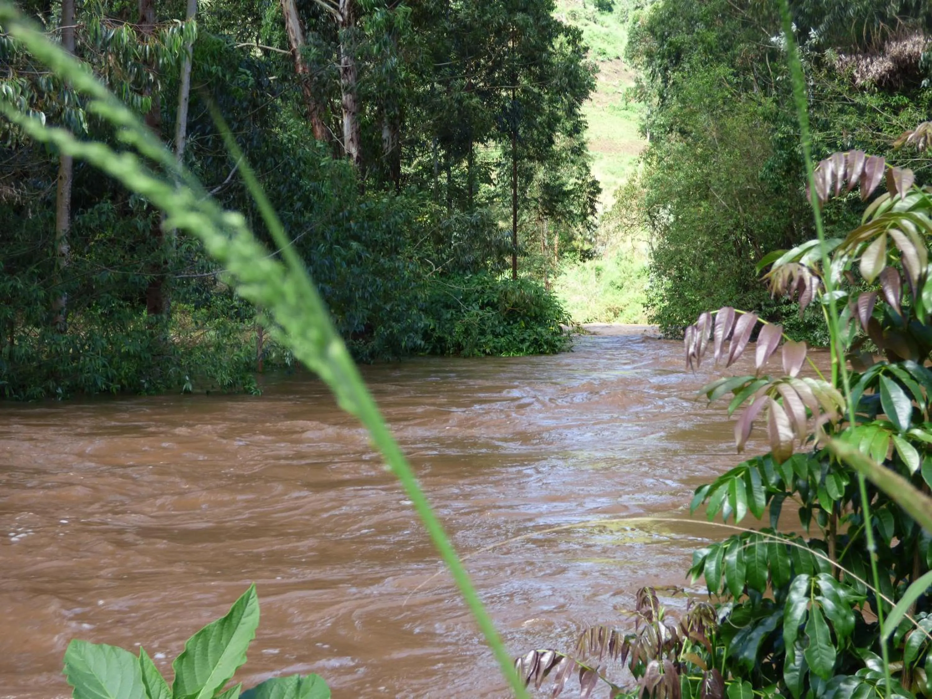 Neighbourhood in Le Pristine Wellness and Healing Hotel