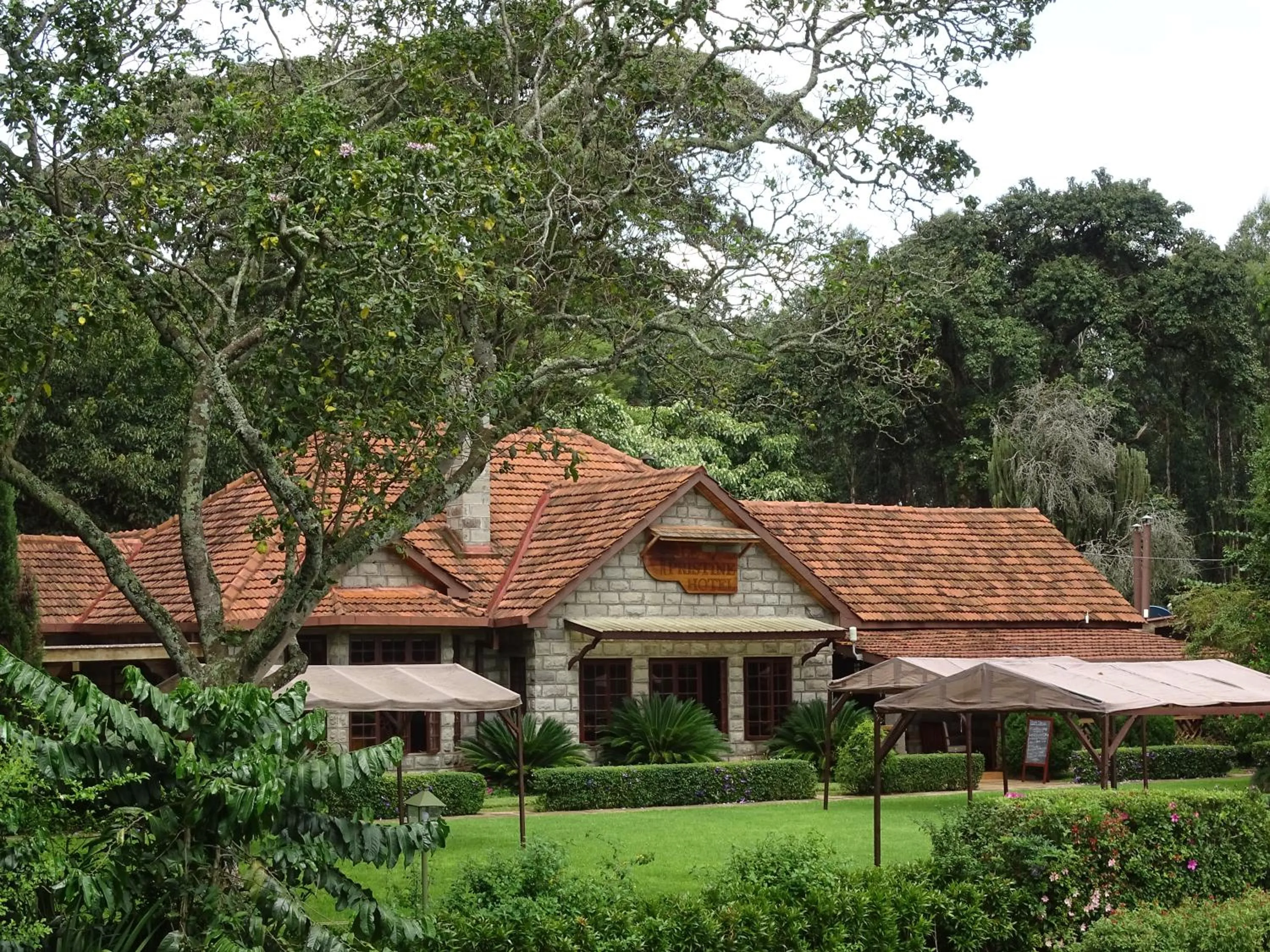 Property building in Le Pristine Wellness and Healing Hotel