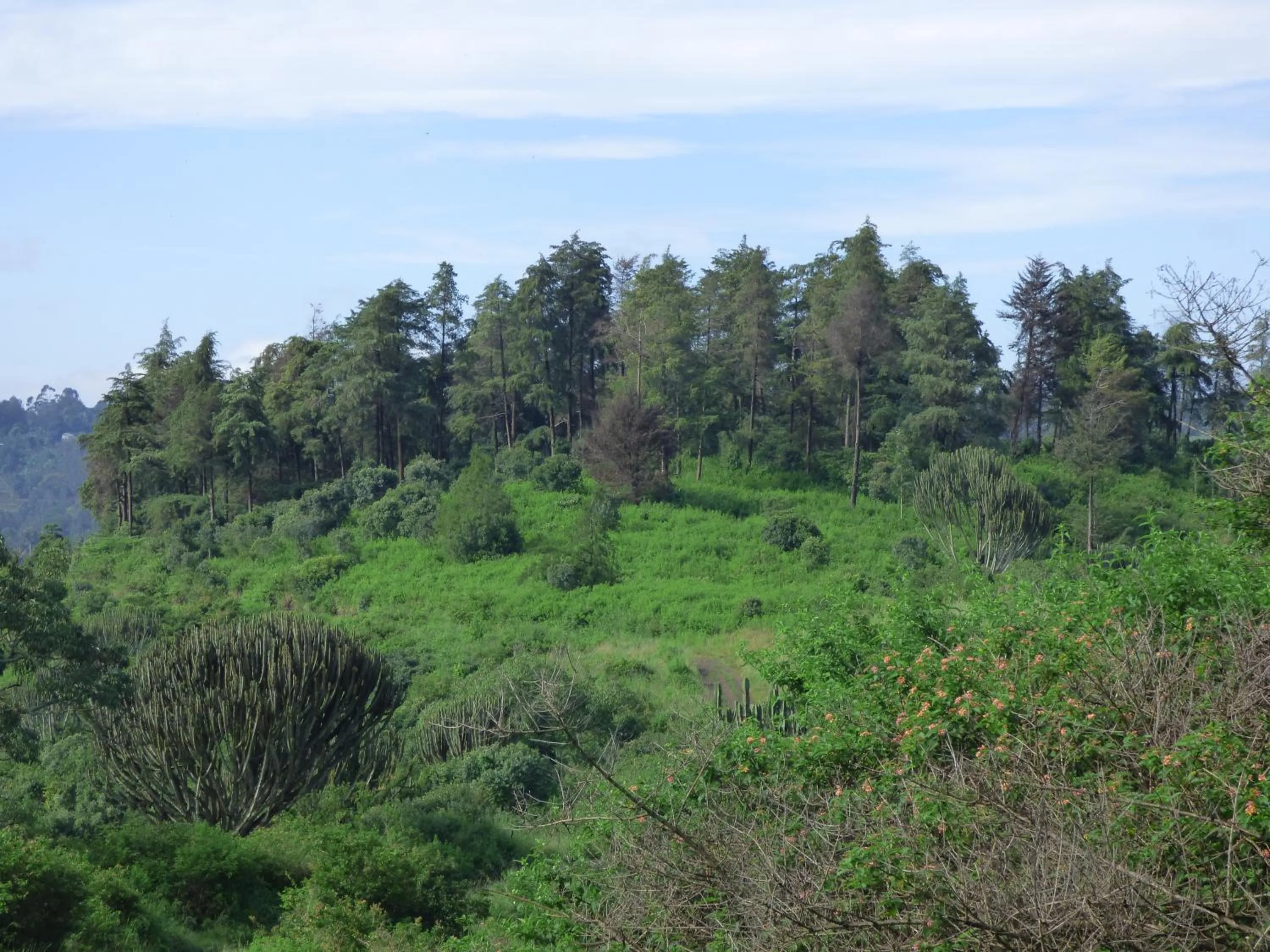 Neighbourhood in Le Pristine Wellness and Healing Hotel