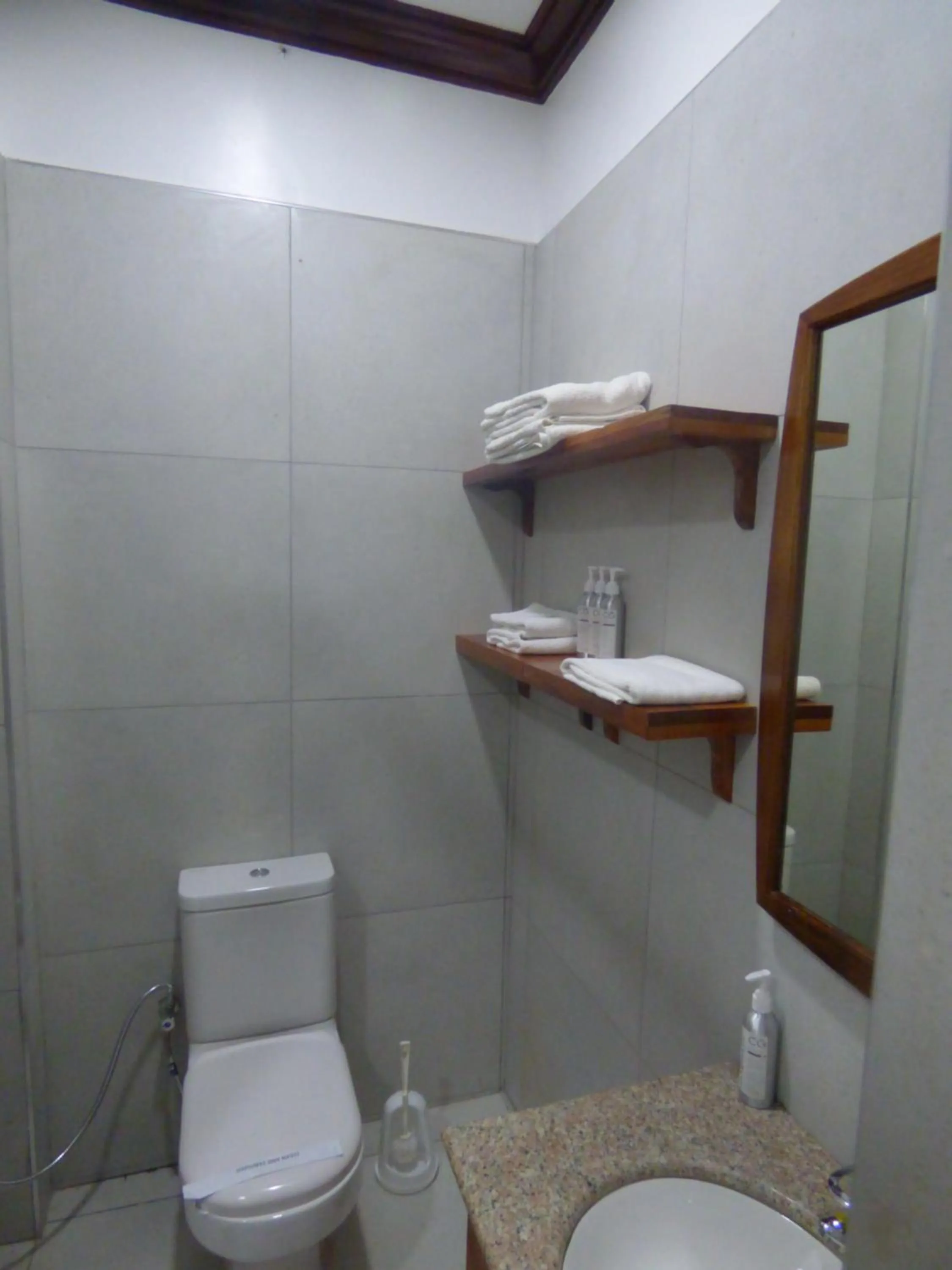 Toilet in Le Pristine Wellness and Healing Hotel