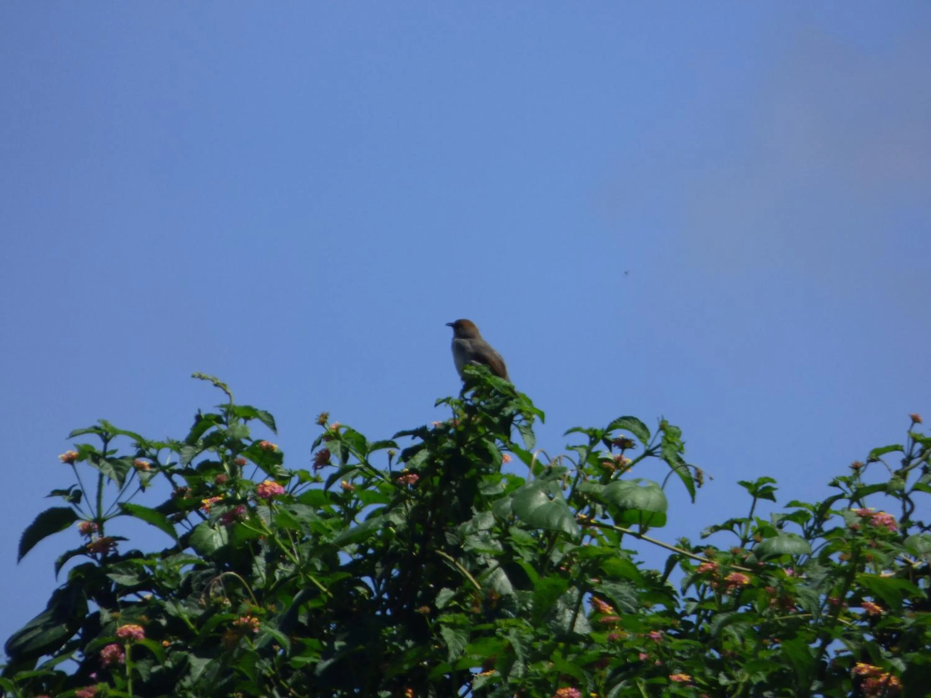 Day in Le Pristine Wellness and Healing Hotel