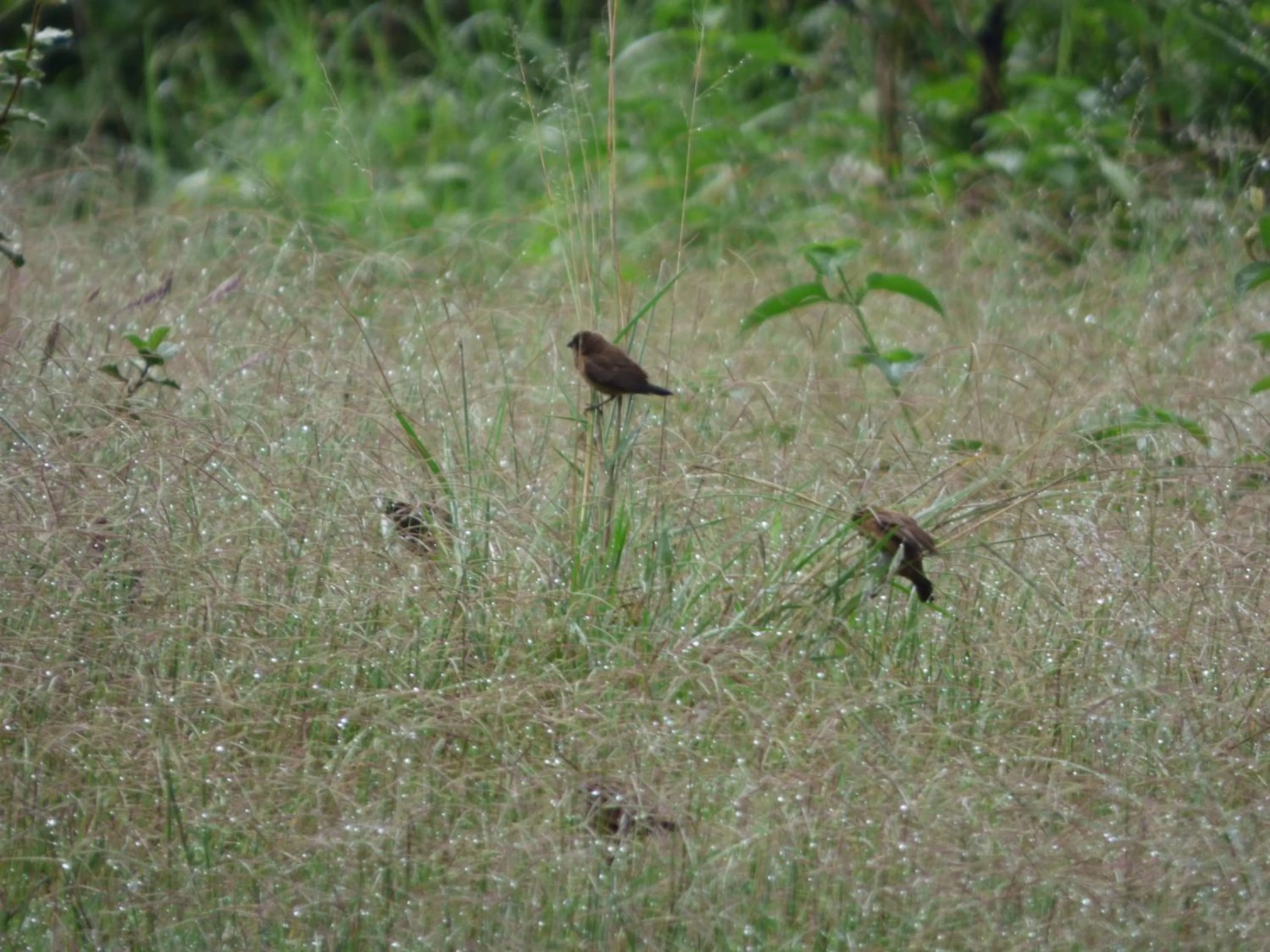 Day in Le Pristine Wellness and Healing Hotel