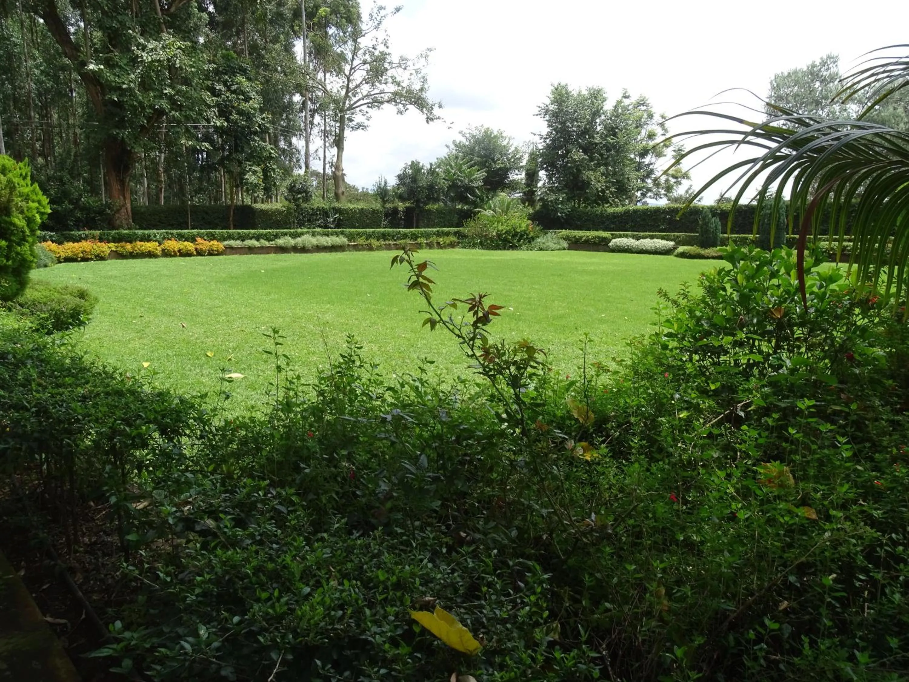 Day in Le Pristine Wellness and Healing Hotel