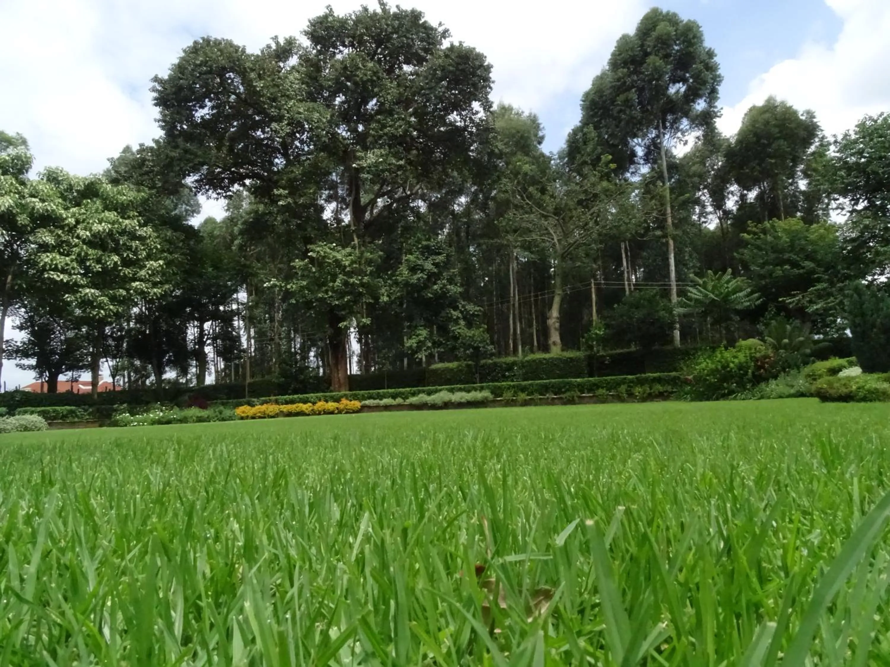 Garden in Le Pristine Wellness and Healing Hotel