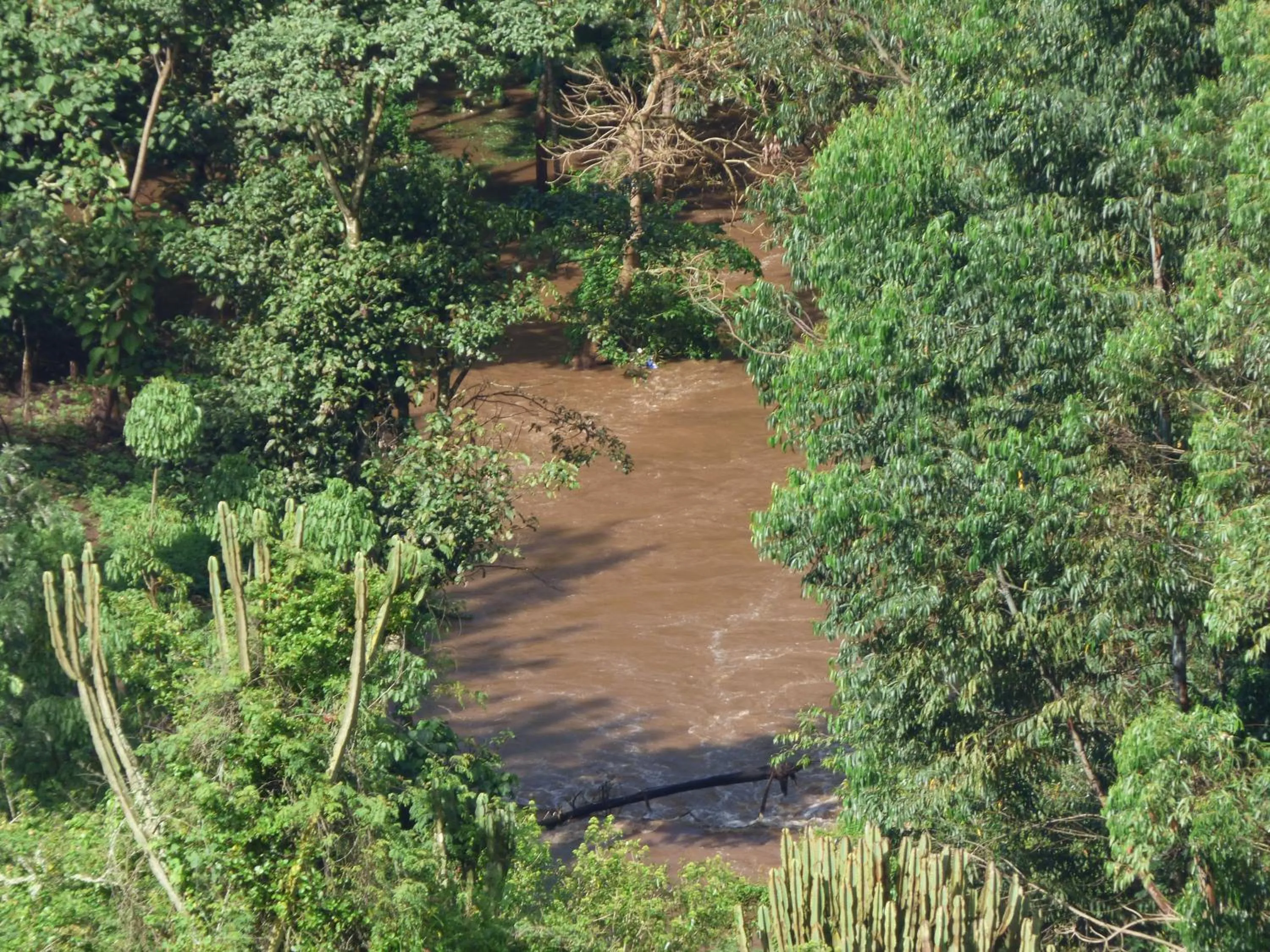 Neighbourhood in Le Pristine Wellness and Healing Hotel