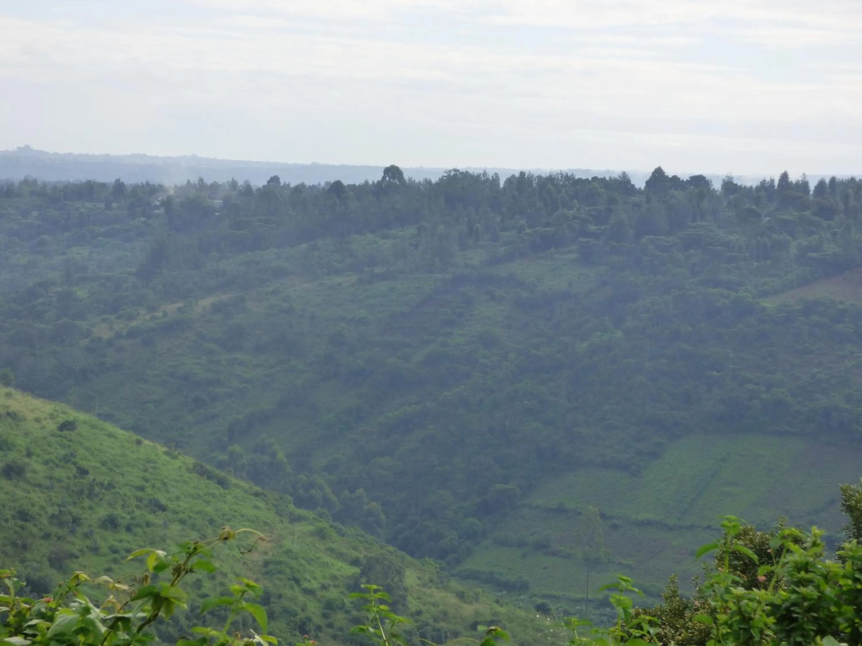 Neighbourhood in Le Pristine Wellness and Healing Hotel
