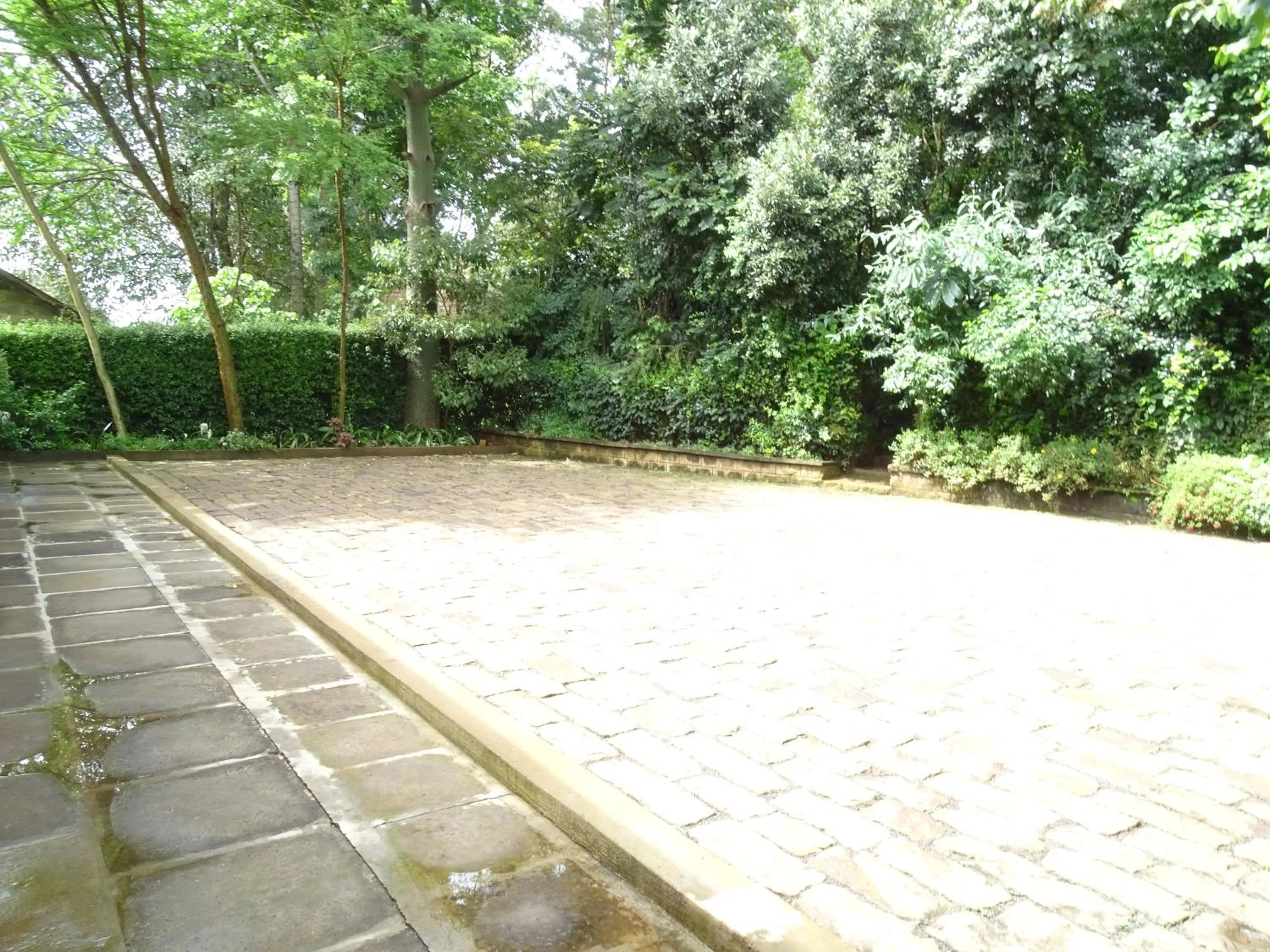 Garden in Le Pristine Wellness and Healing Hotel