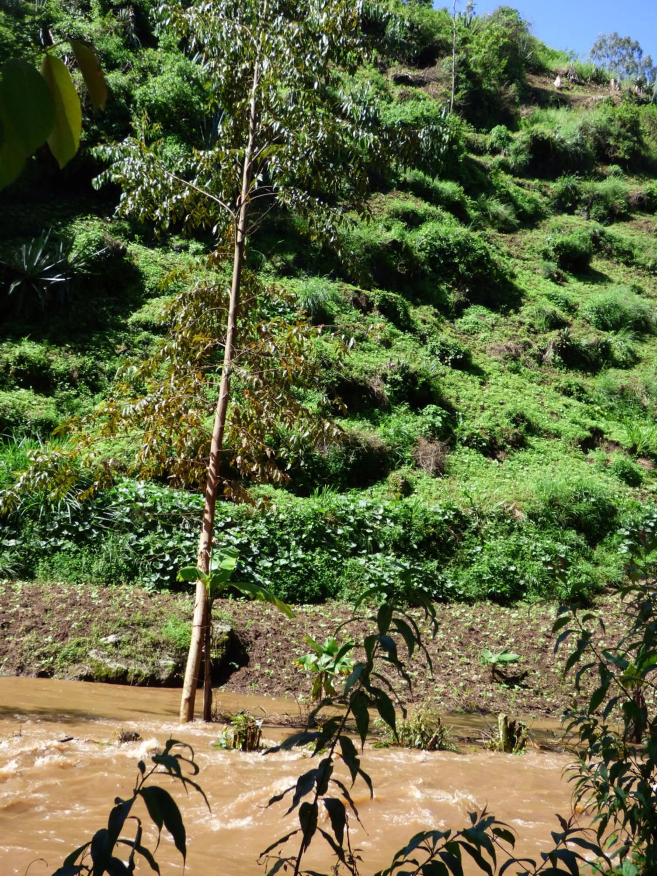 Natural landscape in Le Pristine Wellness and Healing Hotel