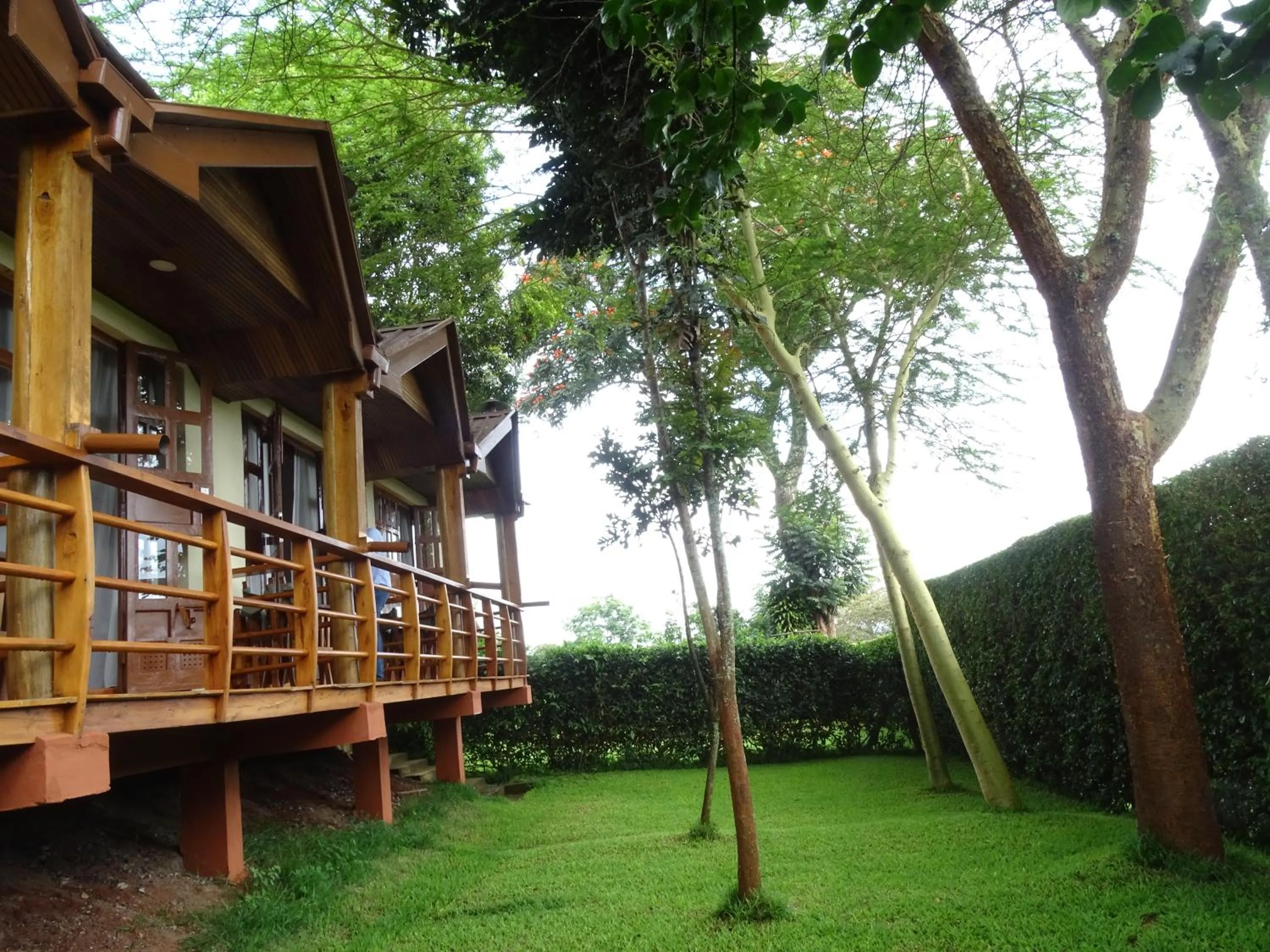 Garden in Le Pristine Wellness and Healing Hotel