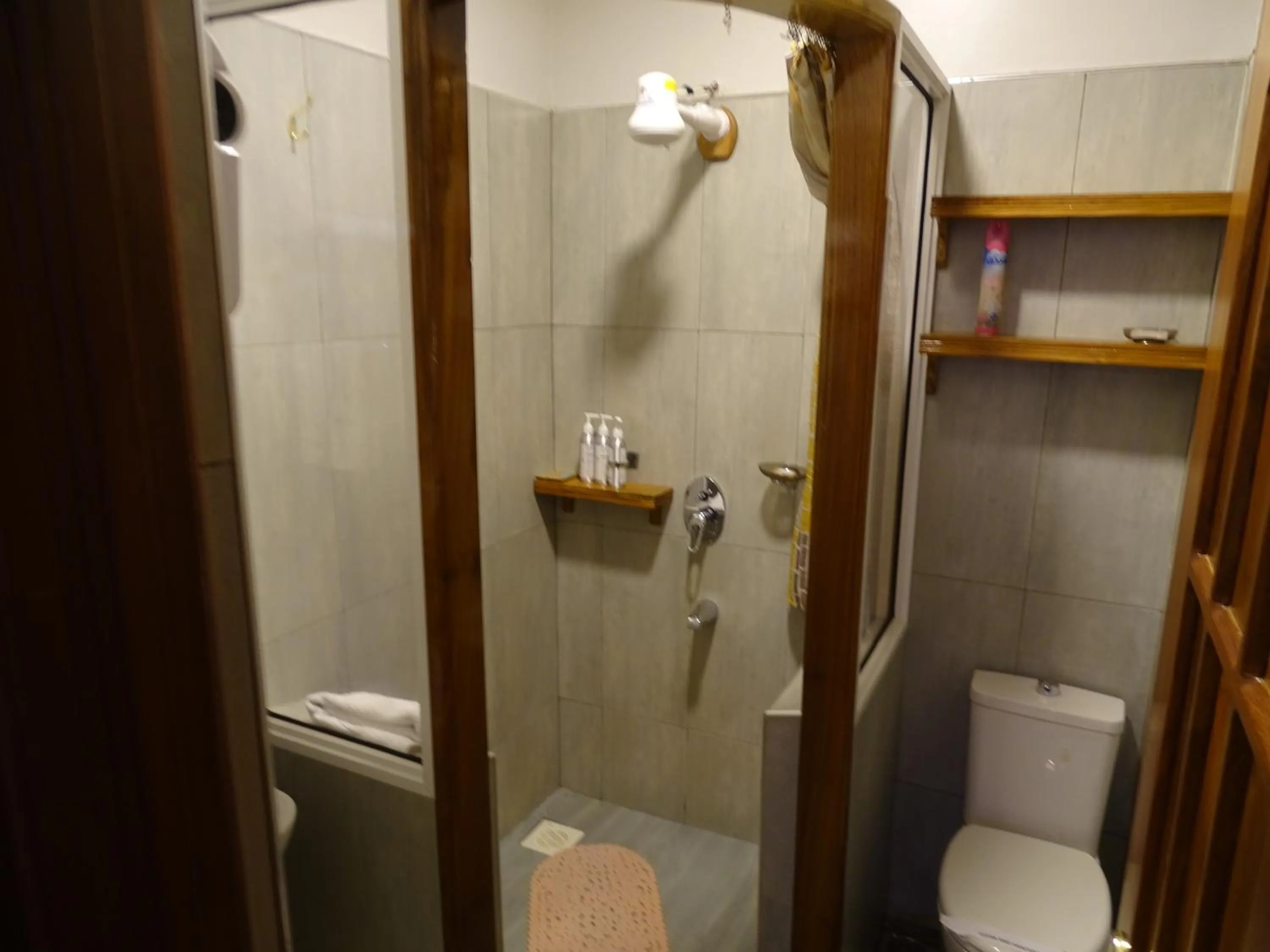 Shower in Le Pristine Wellness and Healing Hotel